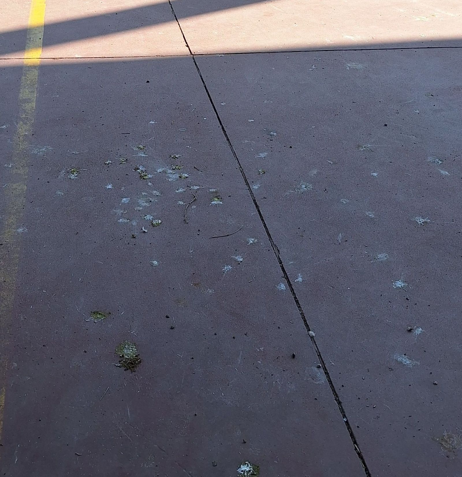 quejas-por-el-estado-de-la-pista-deportiva-del-barrio-de-vistahermosa-2