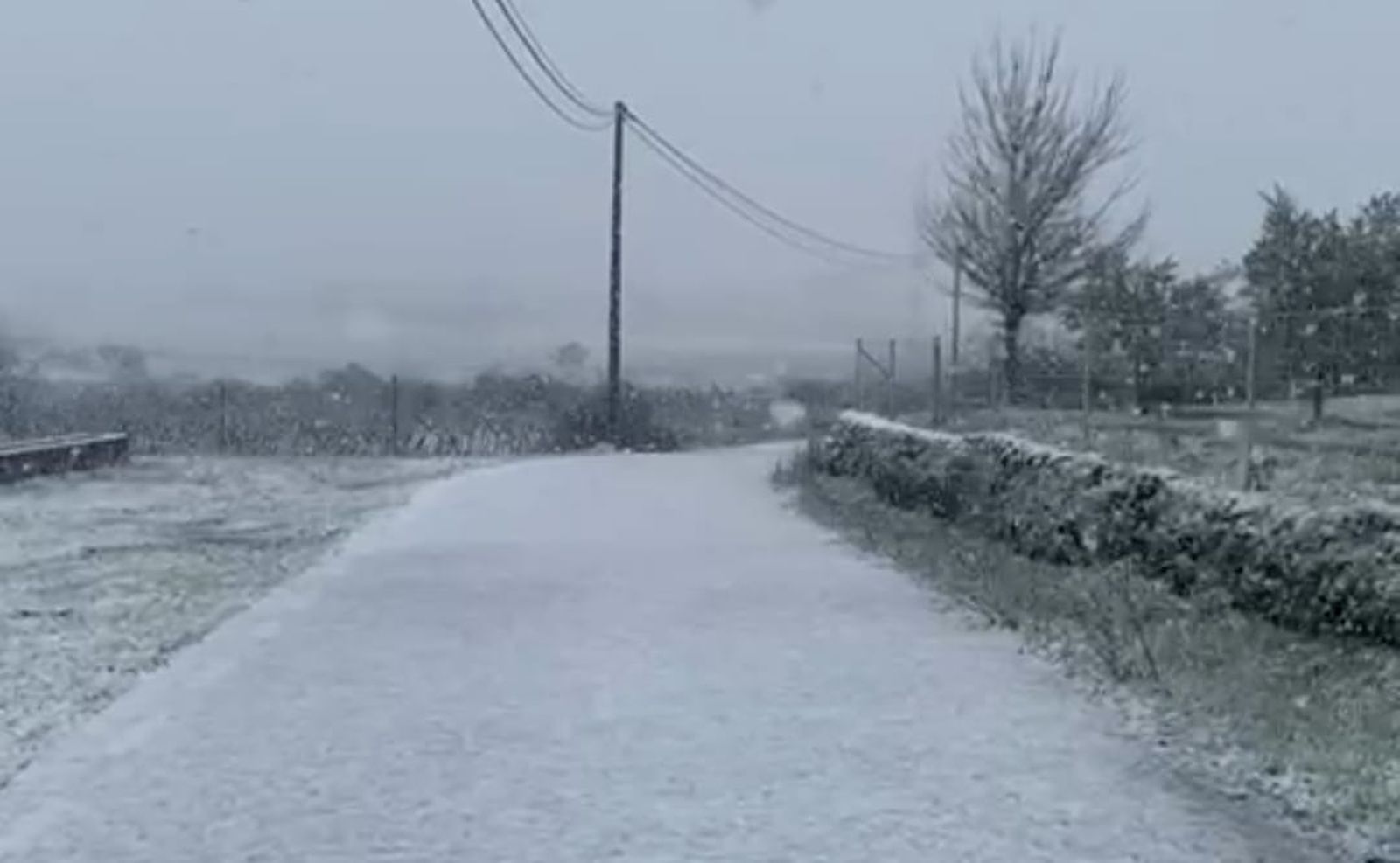 Nieve en Pereña