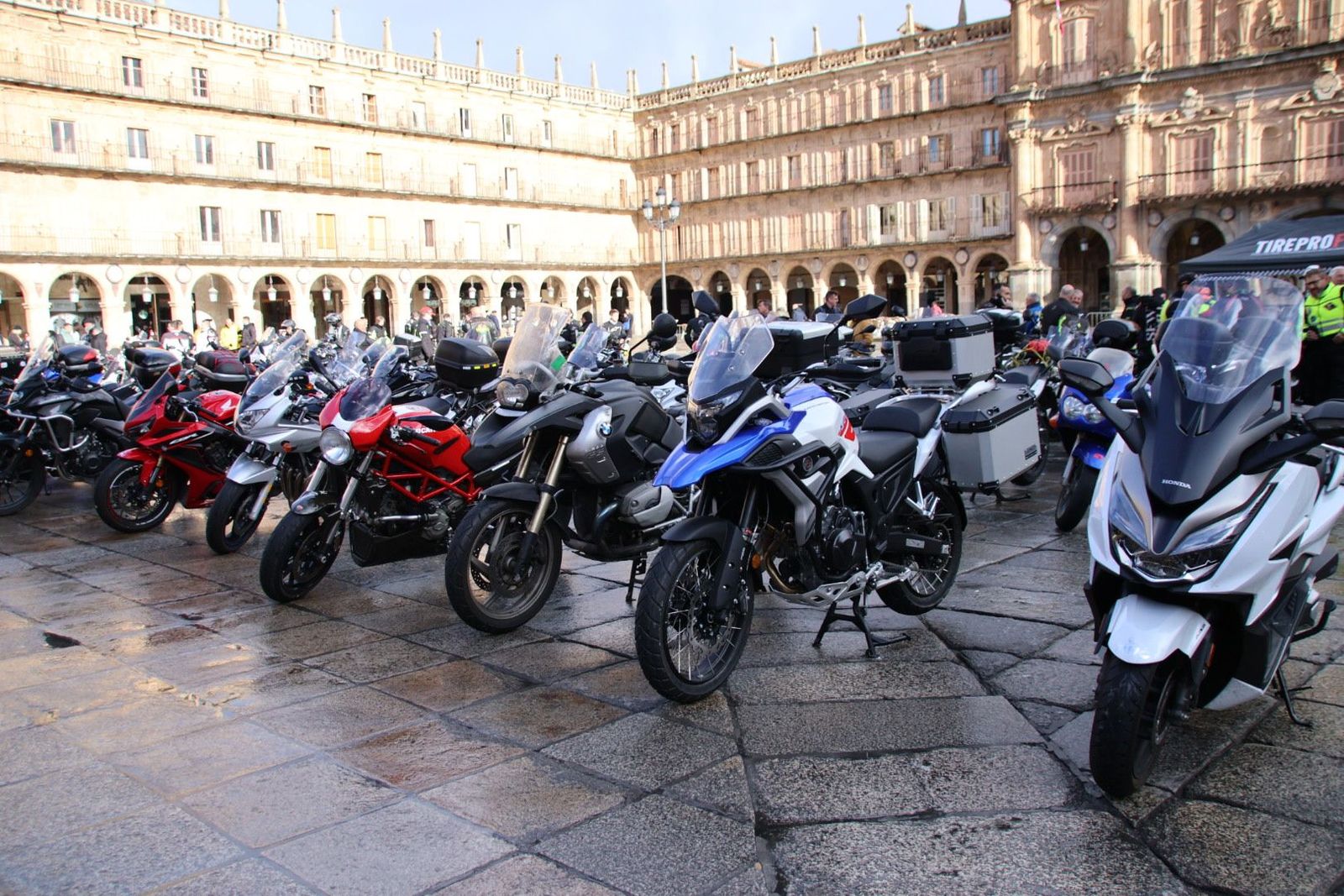 20240303094913-img-8314