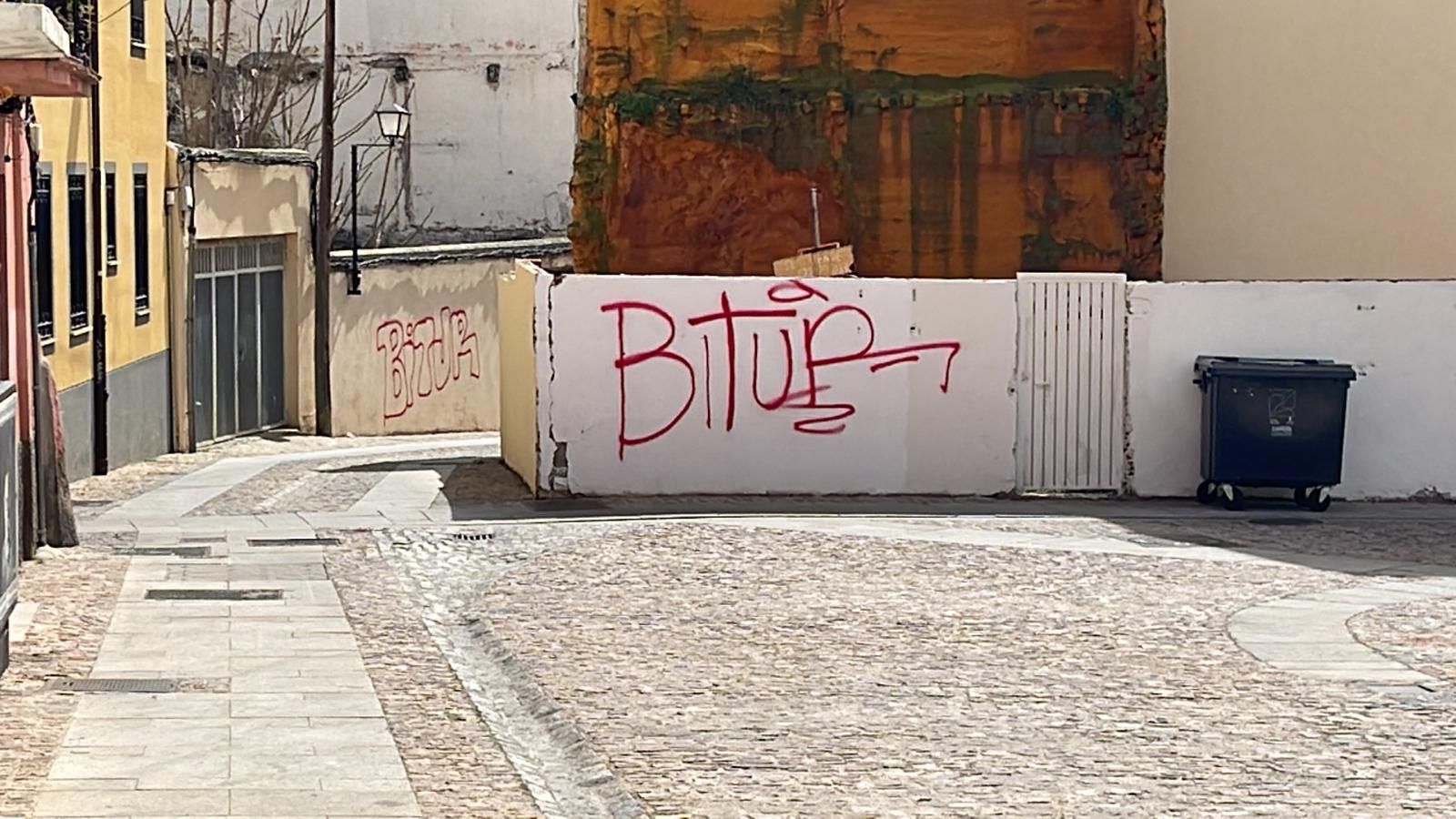 Imagen de los grafitis en la zona