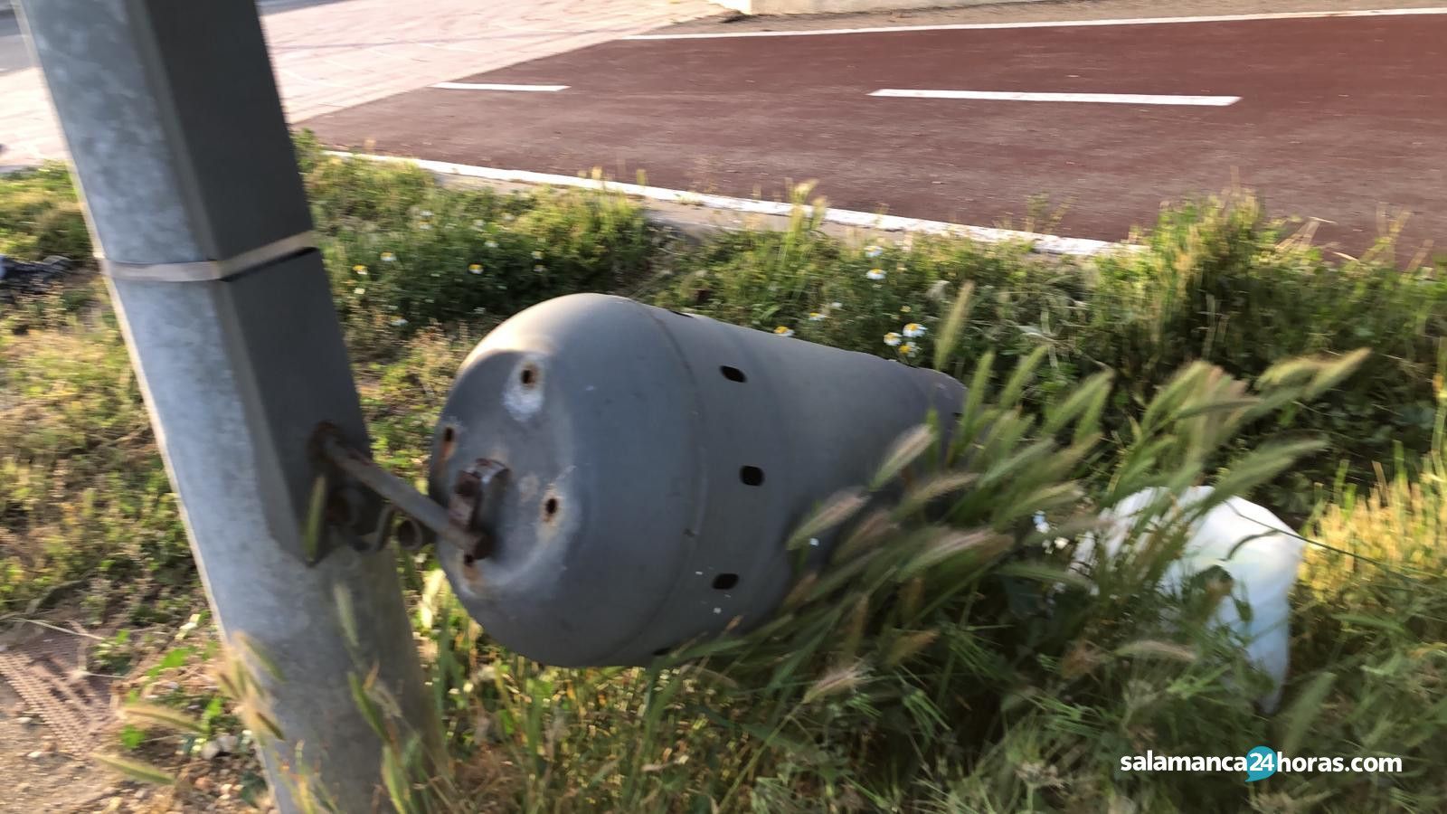 Maleza carbajosa (7)