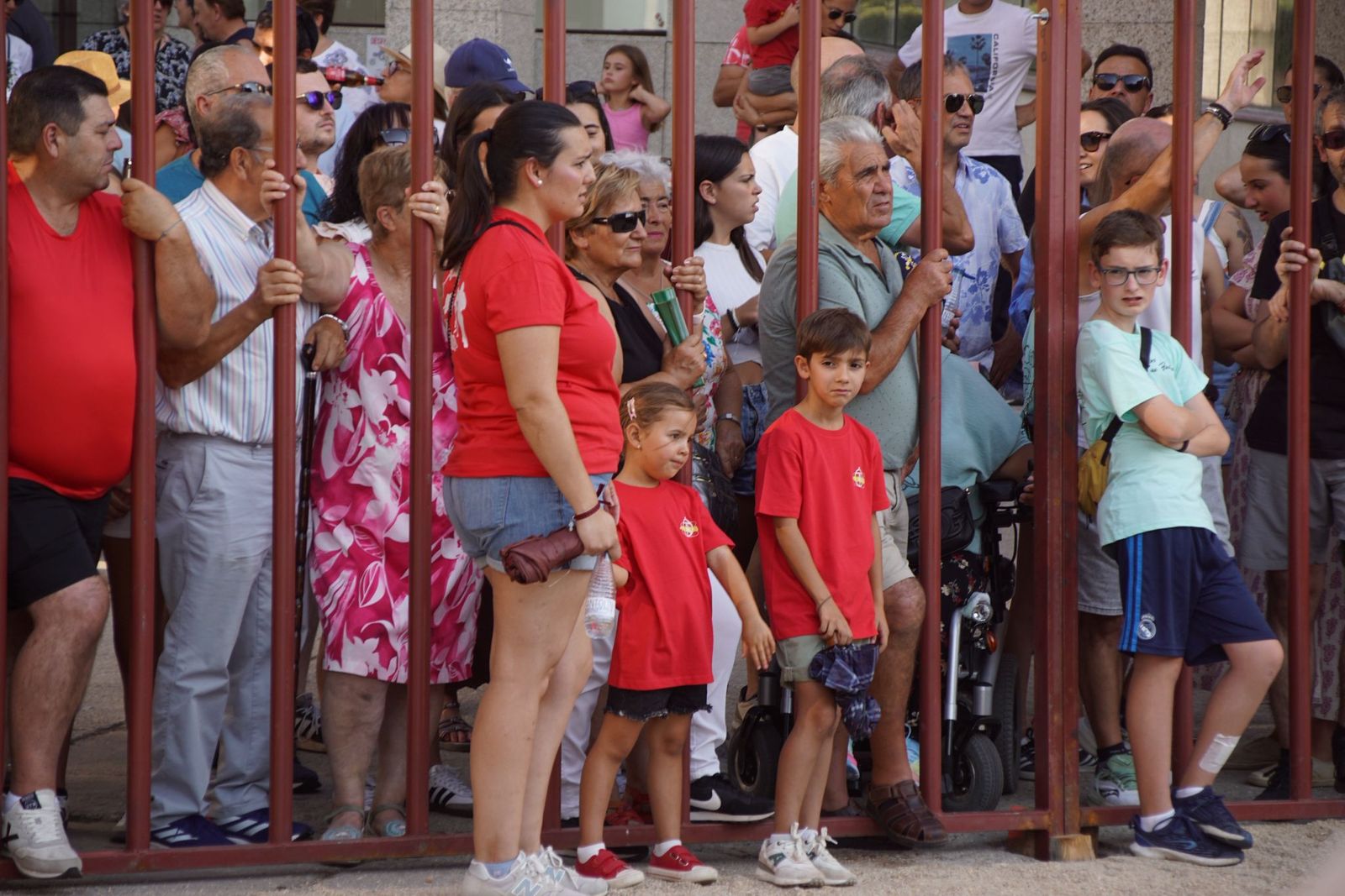 Pasión, tradición y calle: así se ha vivido en Ledesma el II Toro de Cajón