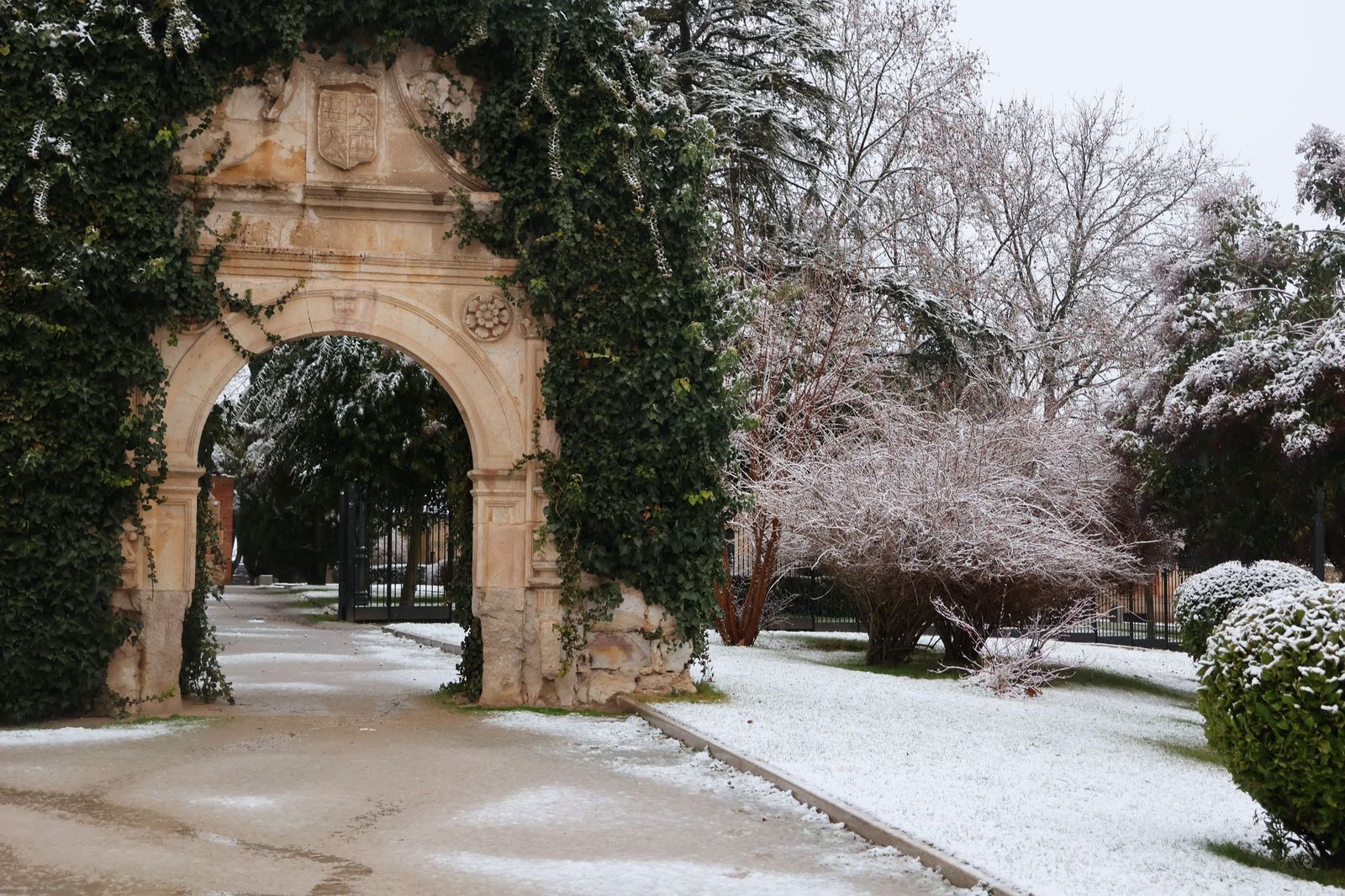 GALERÍA | Nieve en Zamora capital este miércoles