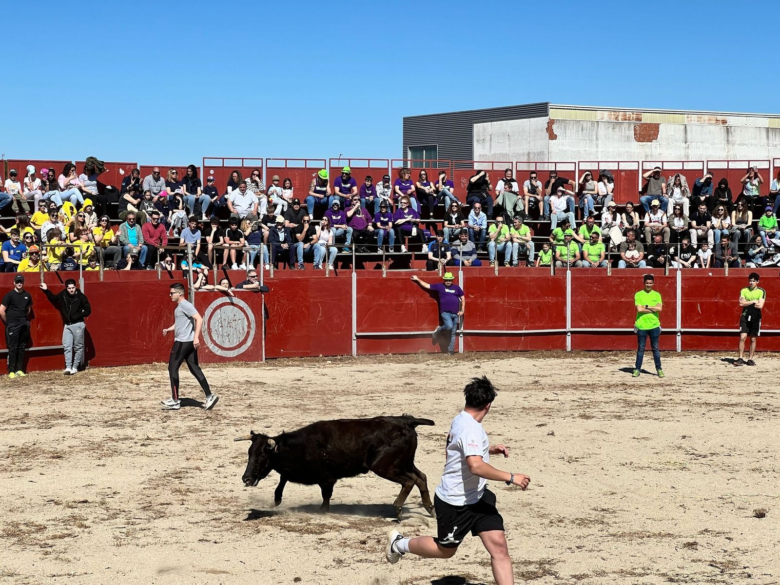 whatsapp-image-2025-04-26-at-19-44-37