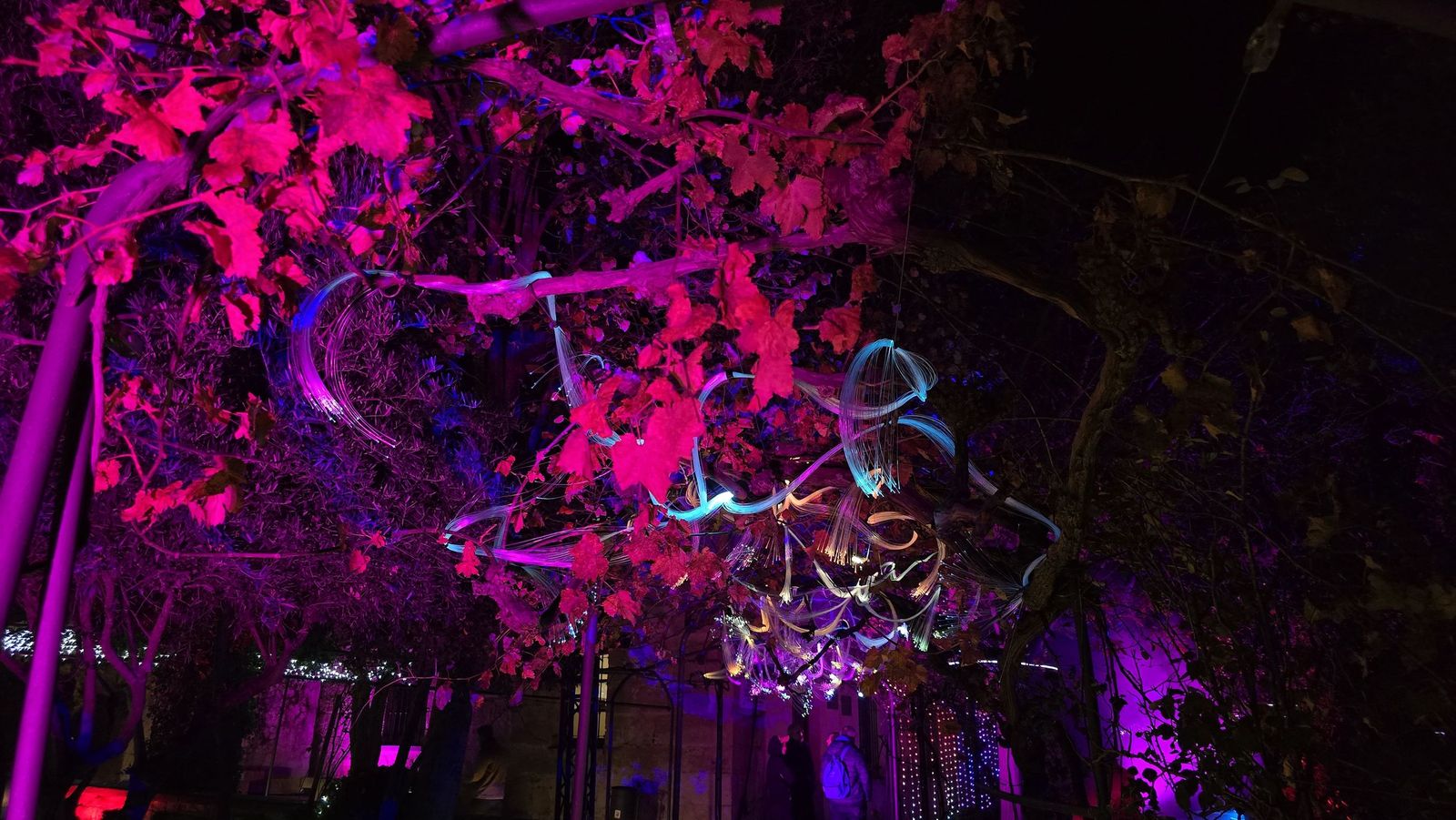 Pase para gráficos del ‘Jardín mágico del Huerto de Calixto y Melibea’