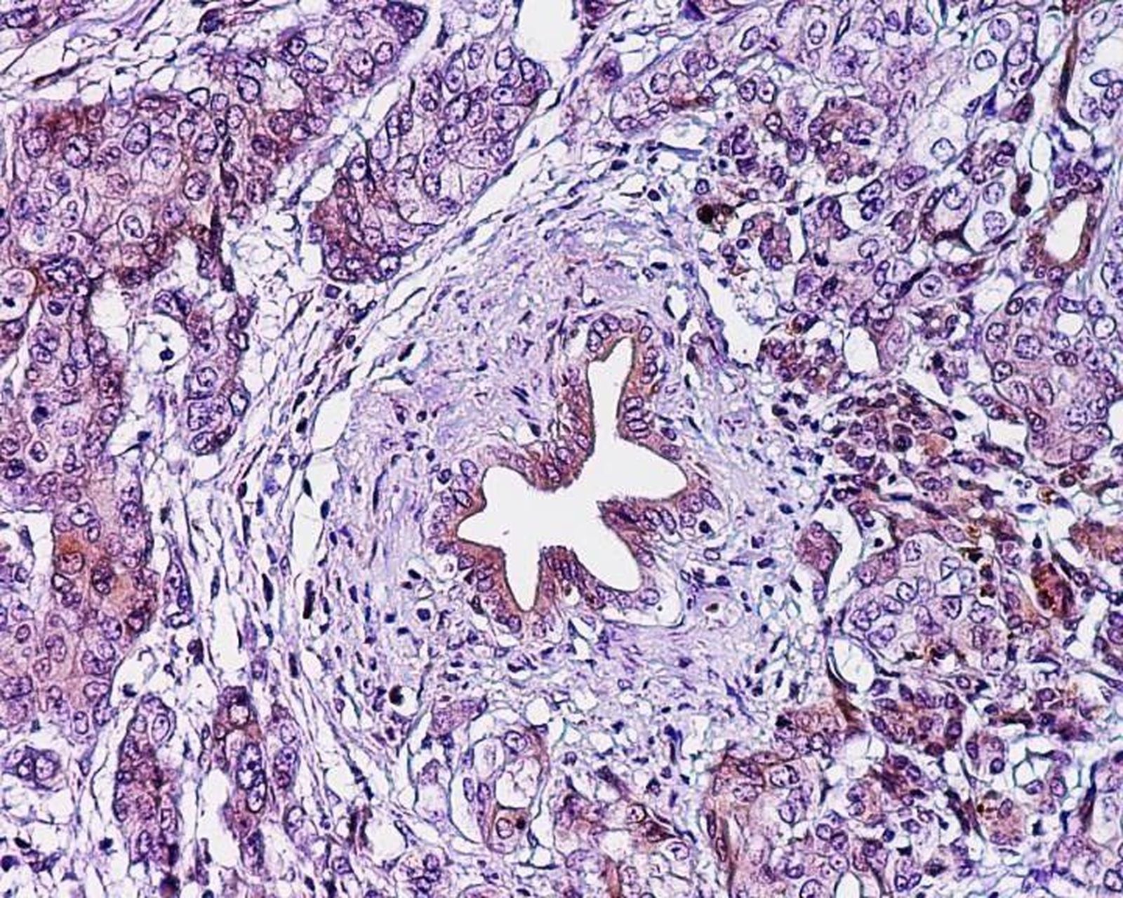 Fotonoticia 20191207081451 1920