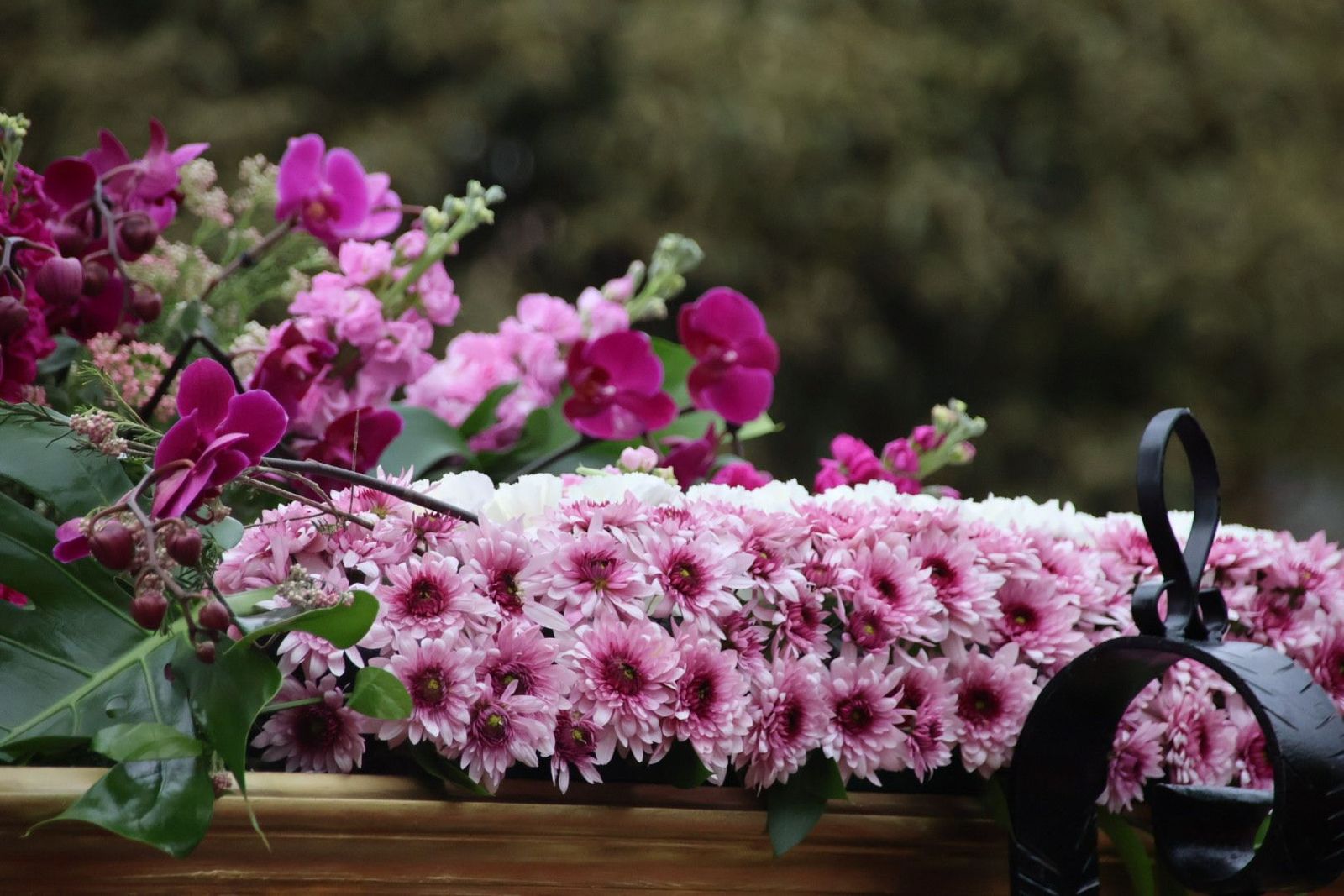 20240330173212-img-5987