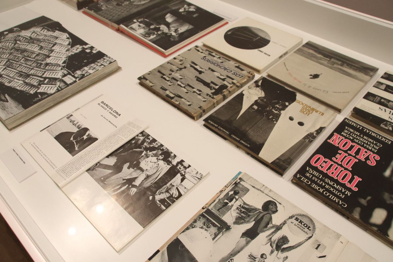 20230921100650-img-7247