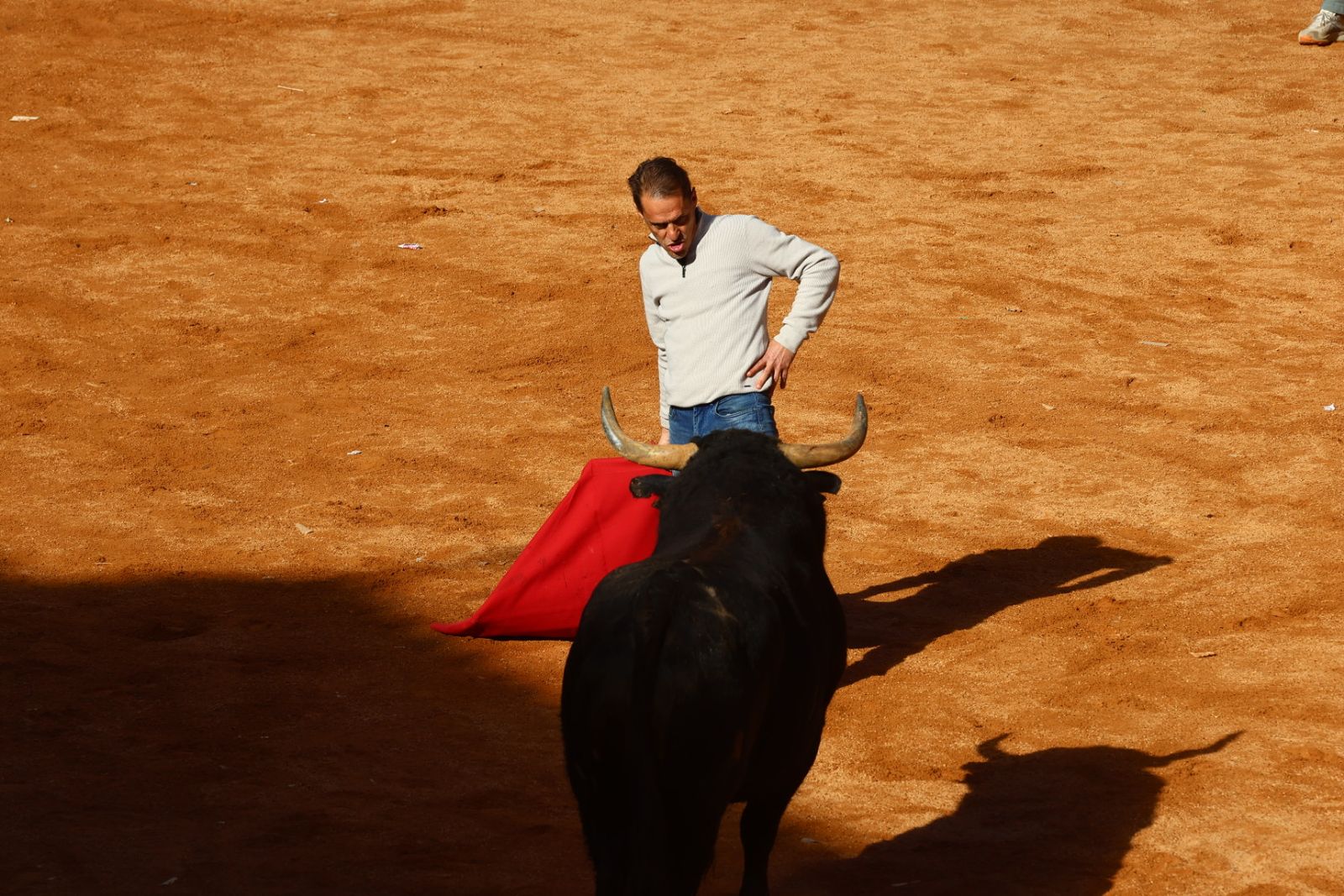 Capea de mañana en el martes del Carnaval del Toro de Ciudad Rodrigo