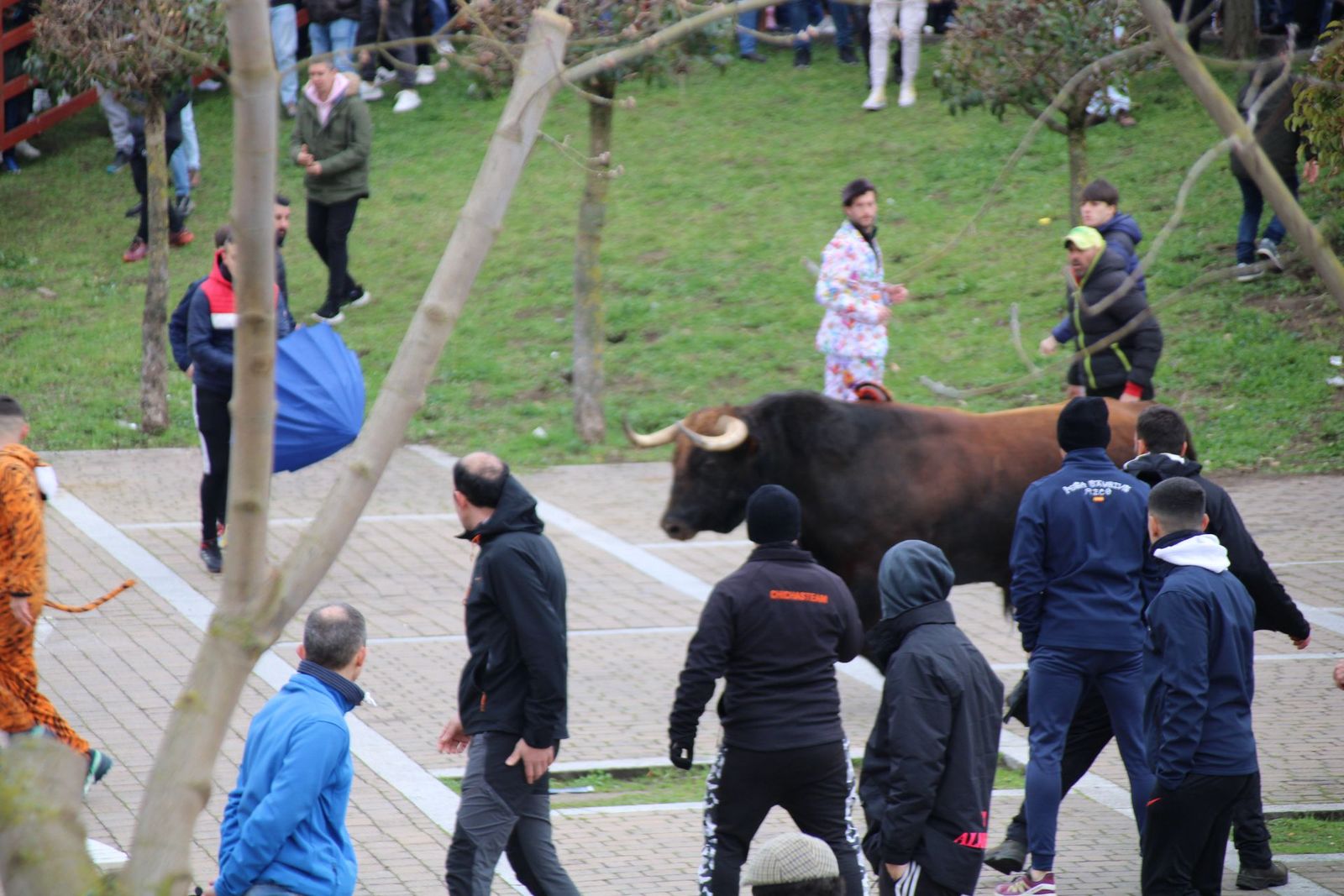 whatsapp-image-2025-03-01-at-11-56-36-2