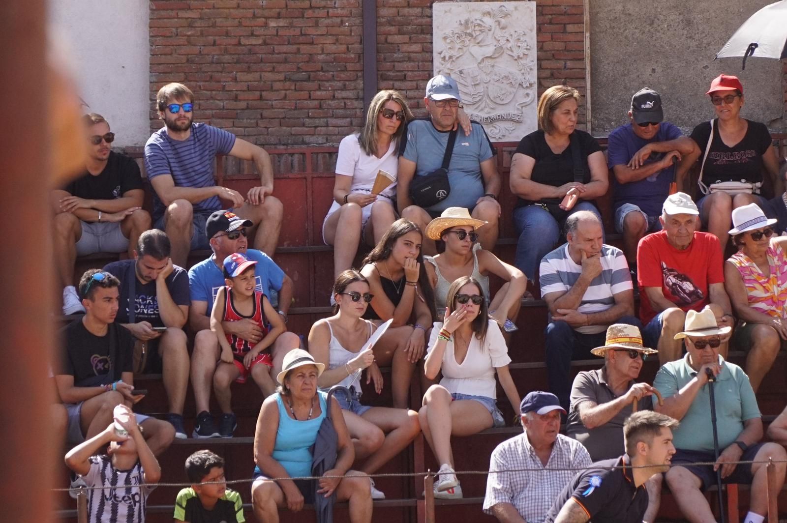 toro-de-cajon-de-castrillo-de-la-guarena-fotos-juanes-14