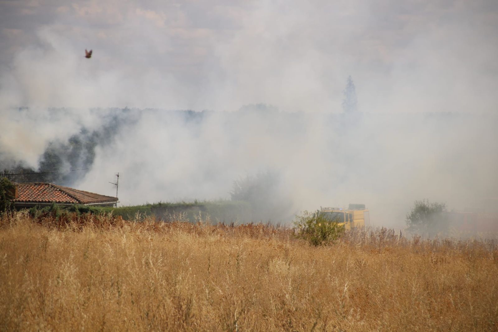 Incendio de pasto en Cabrerizos, en la SA-804. Fotos SALAMANCA24HORAS
