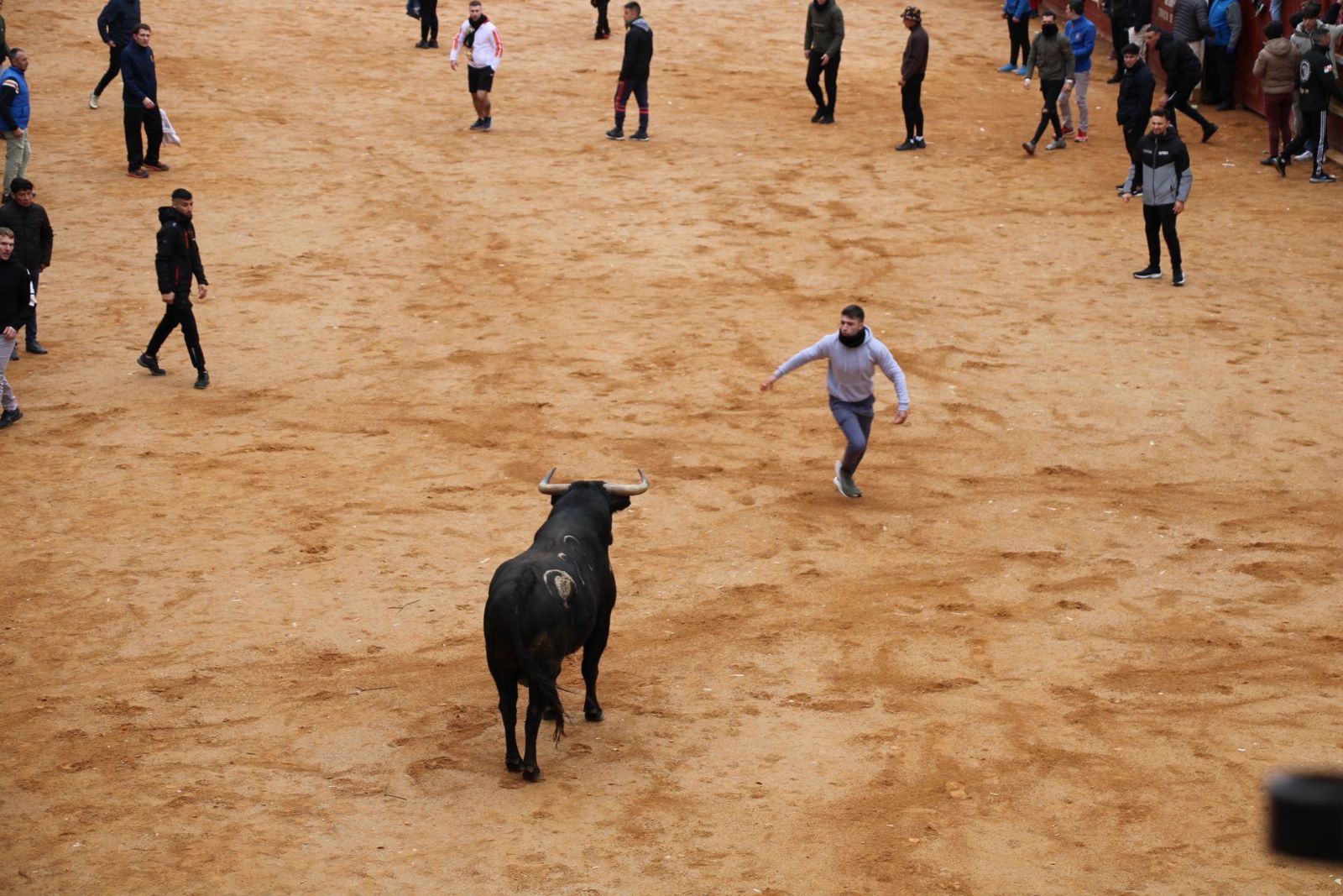 whatsapp-image-2025-03-01-at-13-18-50-1