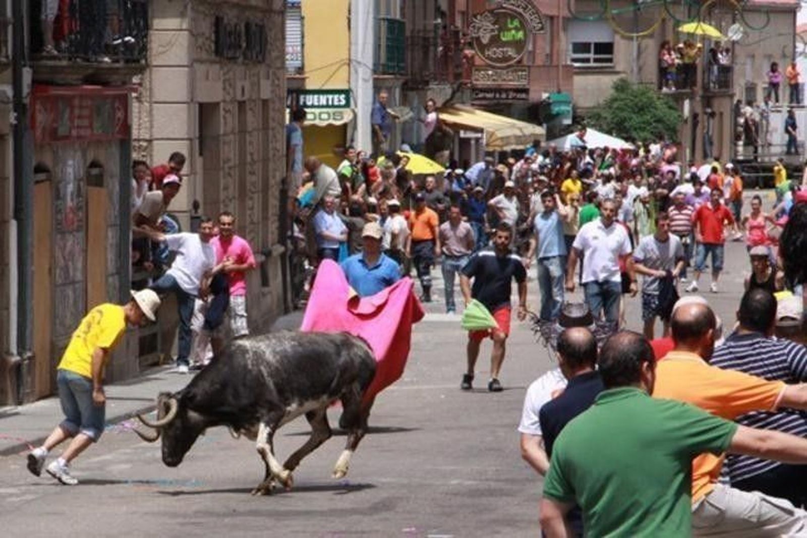 Los encierros taurinos protagonizan las fiestas del Corpus