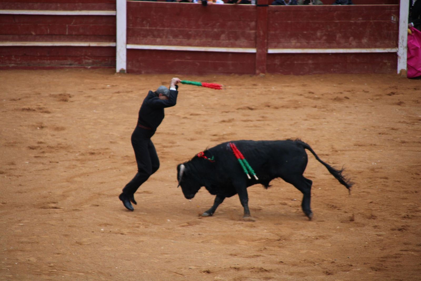 whatsapp-image-2025-03-02-at-18-54-11