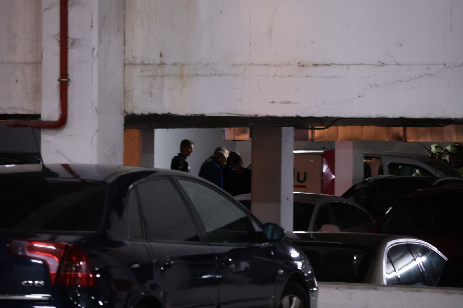 Rescate del ciervo en el Parking de San Martín (18).JPG