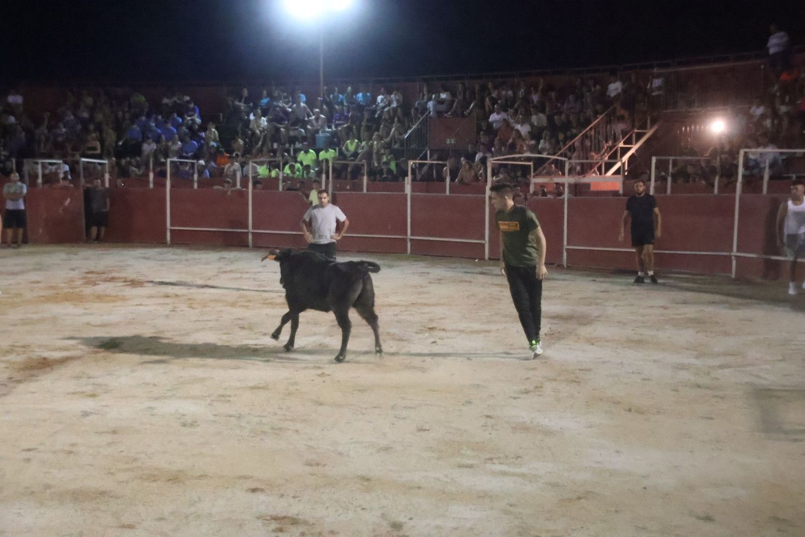 20230812212845-img-1263