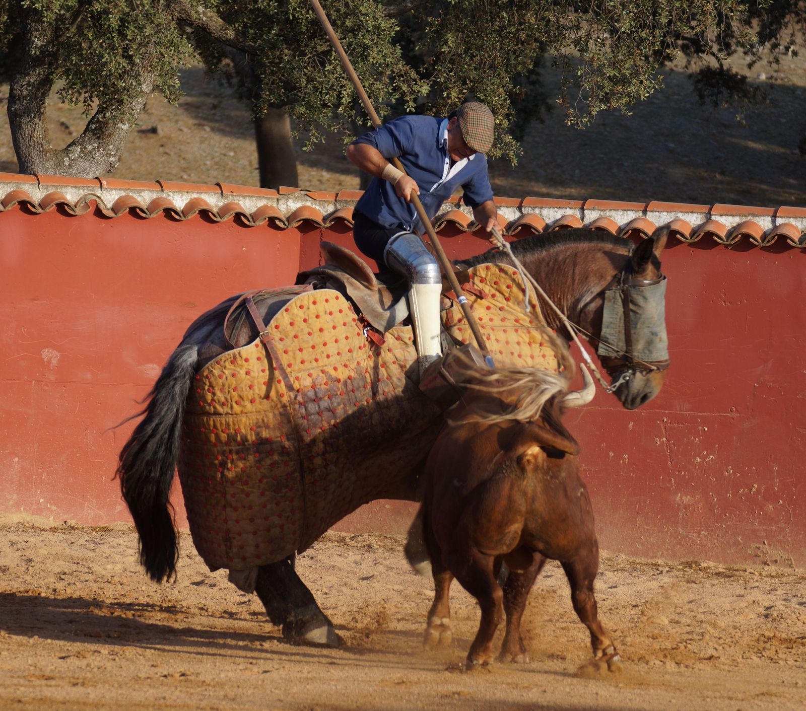 juan-leal-torero-11