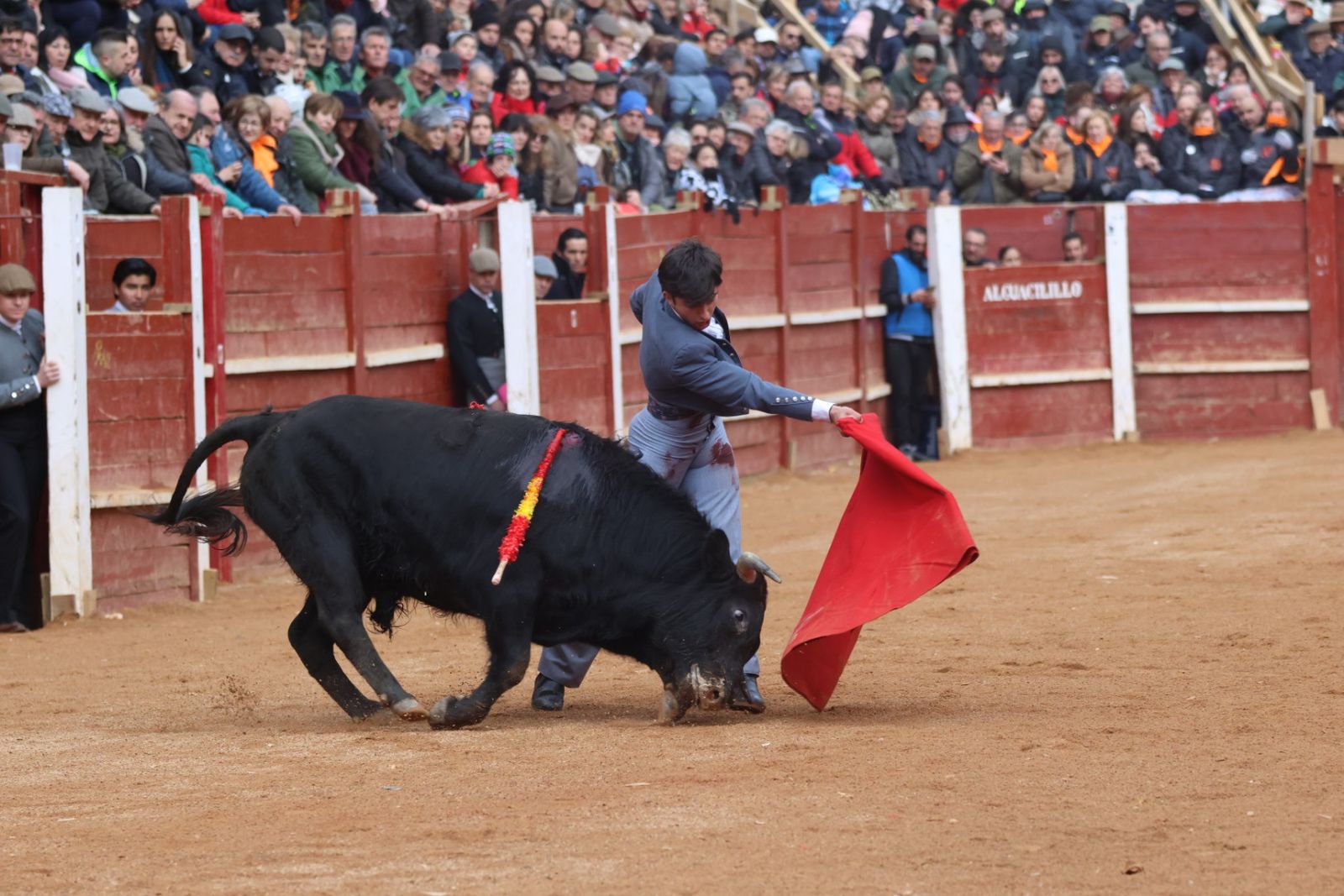 Novillada sin picadores del bolsín taurino y rejones en Ciudad Rodrigo