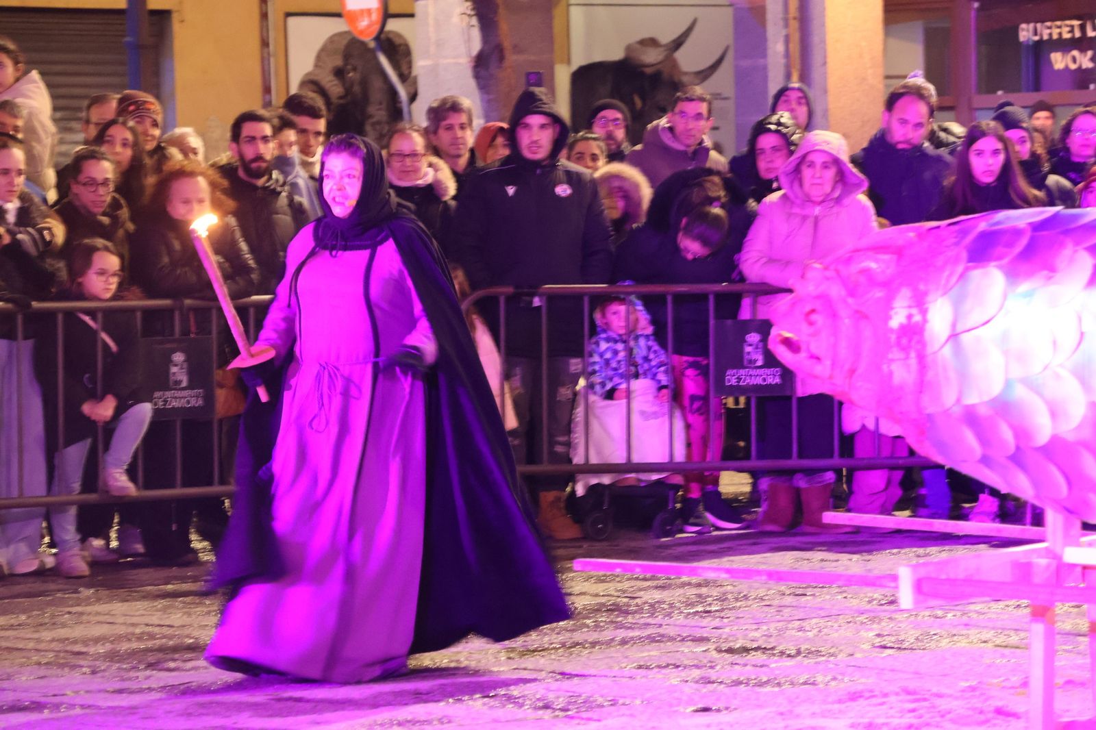 GALERÍA | Entierro de la sardina Zamora 2026