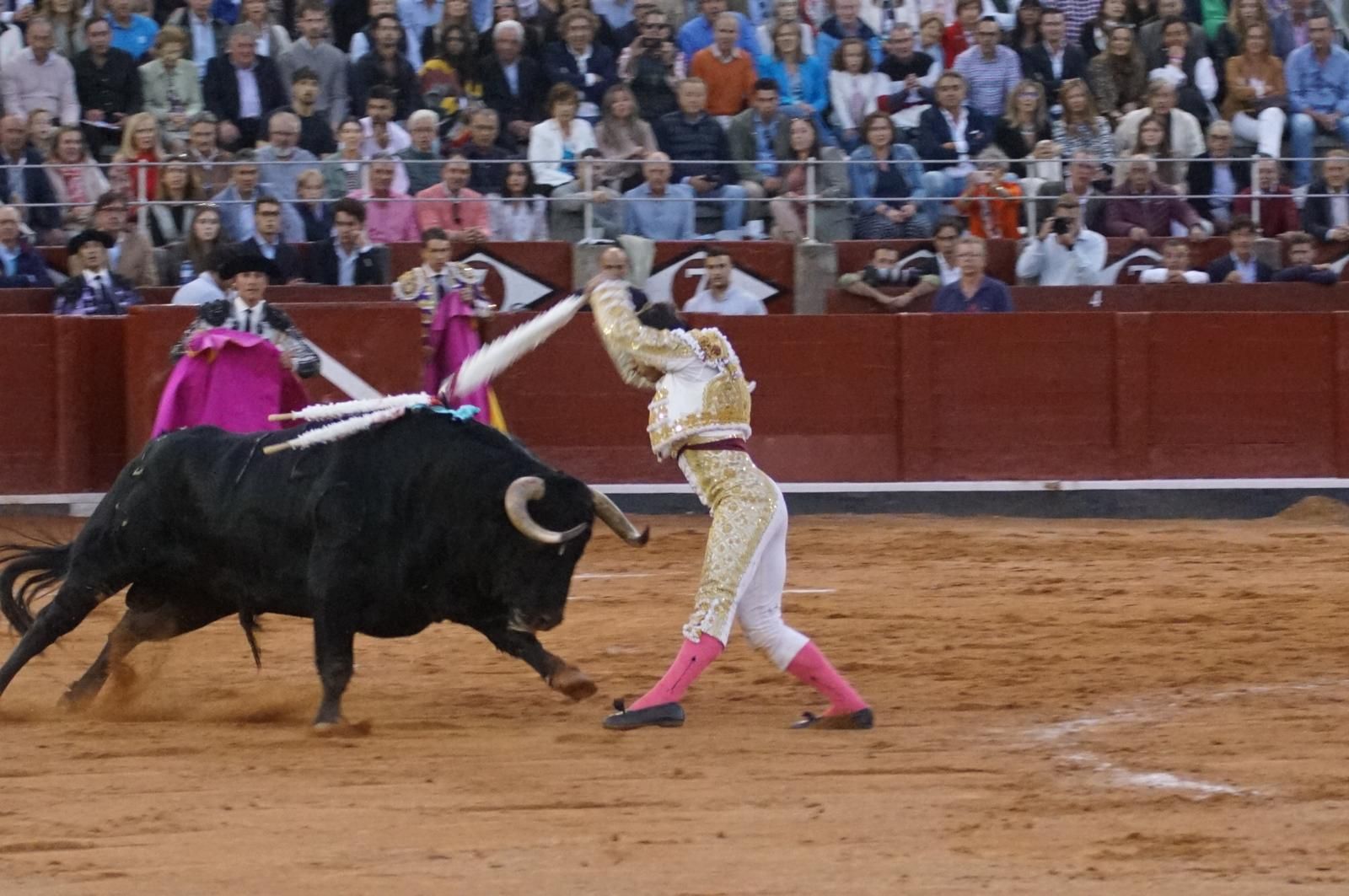 corrida-concurso-momentos-mas-destacados-del-ultimo-festejo-de-abono-de-la-feria-taurina-virgen-de-la-vega-2024-fotos-carlos-h-g-y-juanes-16