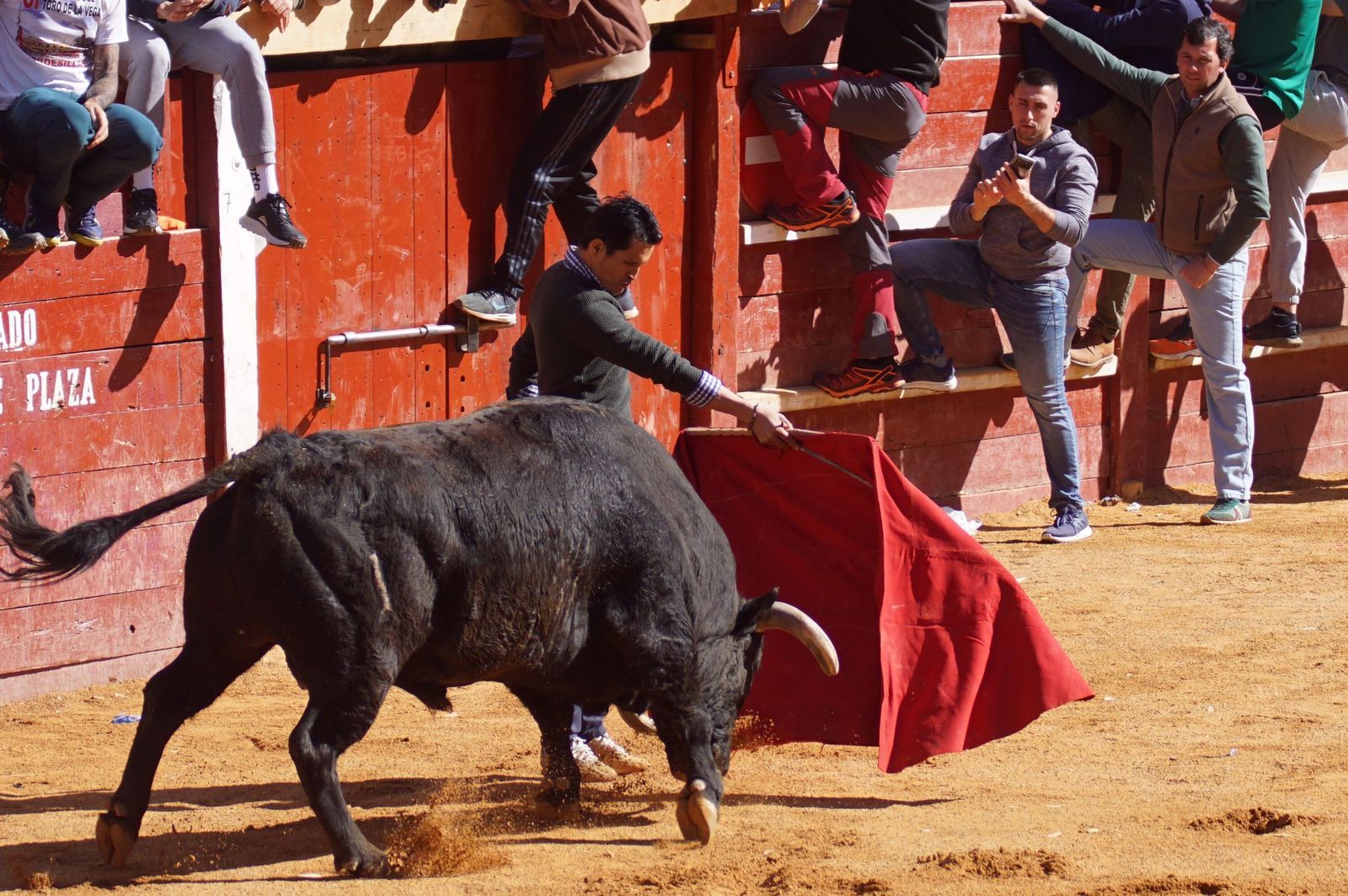 encierro-capea-y-ambiente-en-ciudad-rodrigo-en-este-lunes-de-carnaval-3