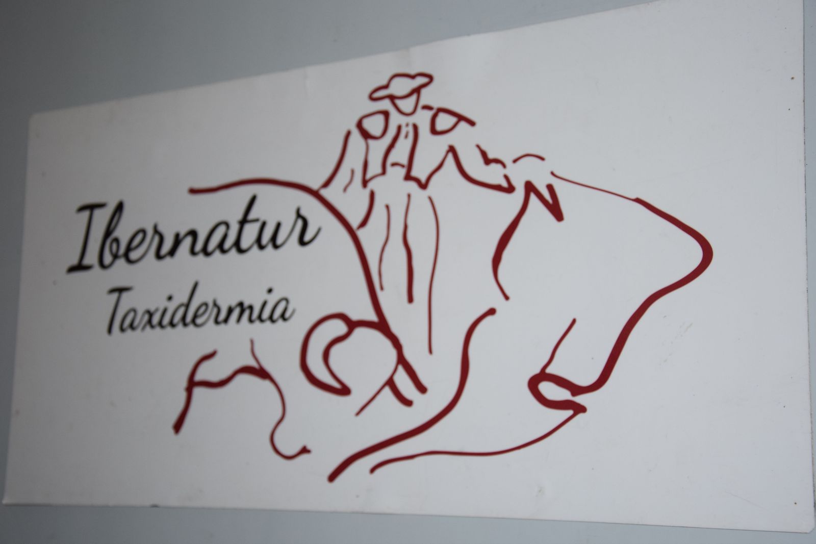 taxidermia-en-salamanca-10
