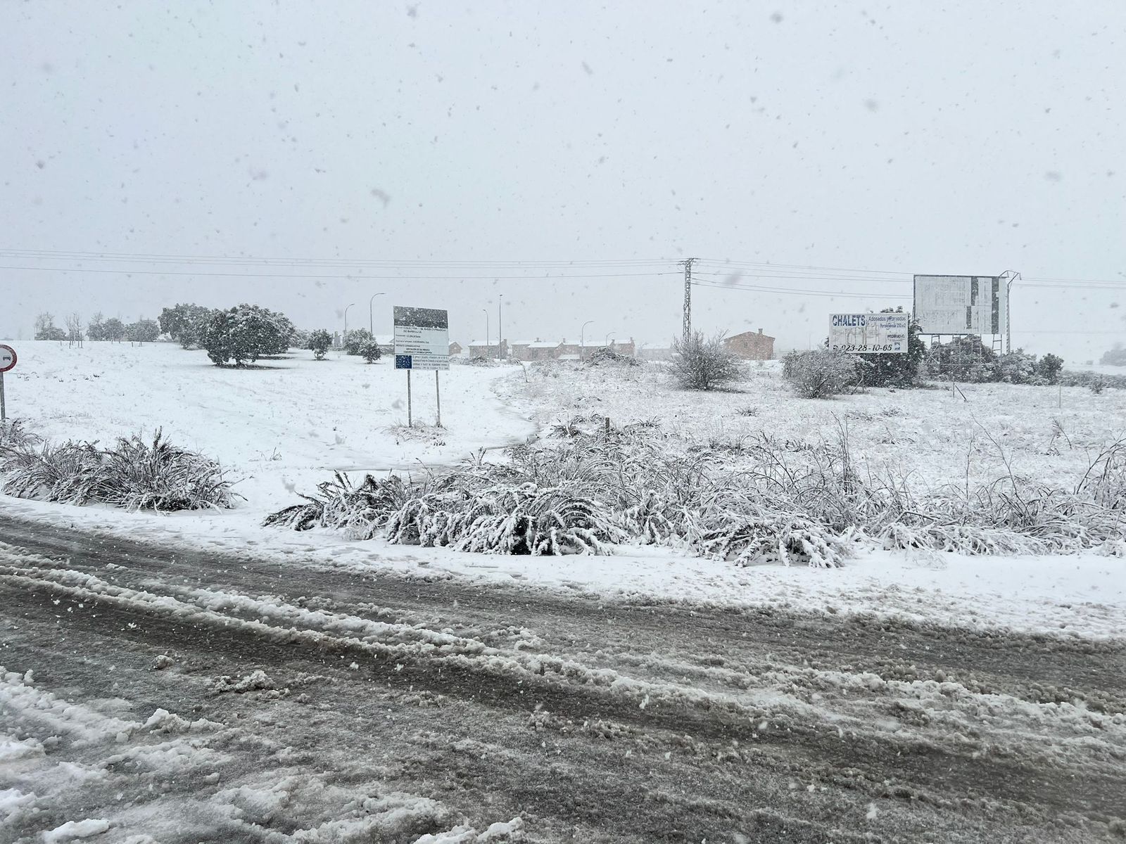 Nevada en Salamanca 28 de enero 2026