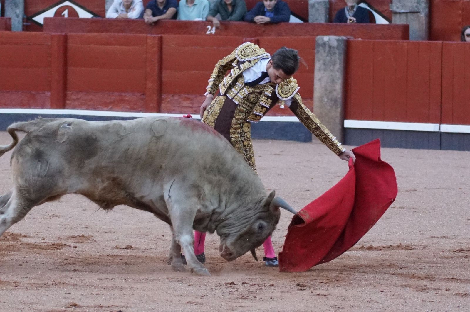Clase práctica con alumnos de la Escuela de Tauromaquia de Salamanca (Diego Mateos, Noel García y Álvaro Rojo con erales de Esteban Isidro)