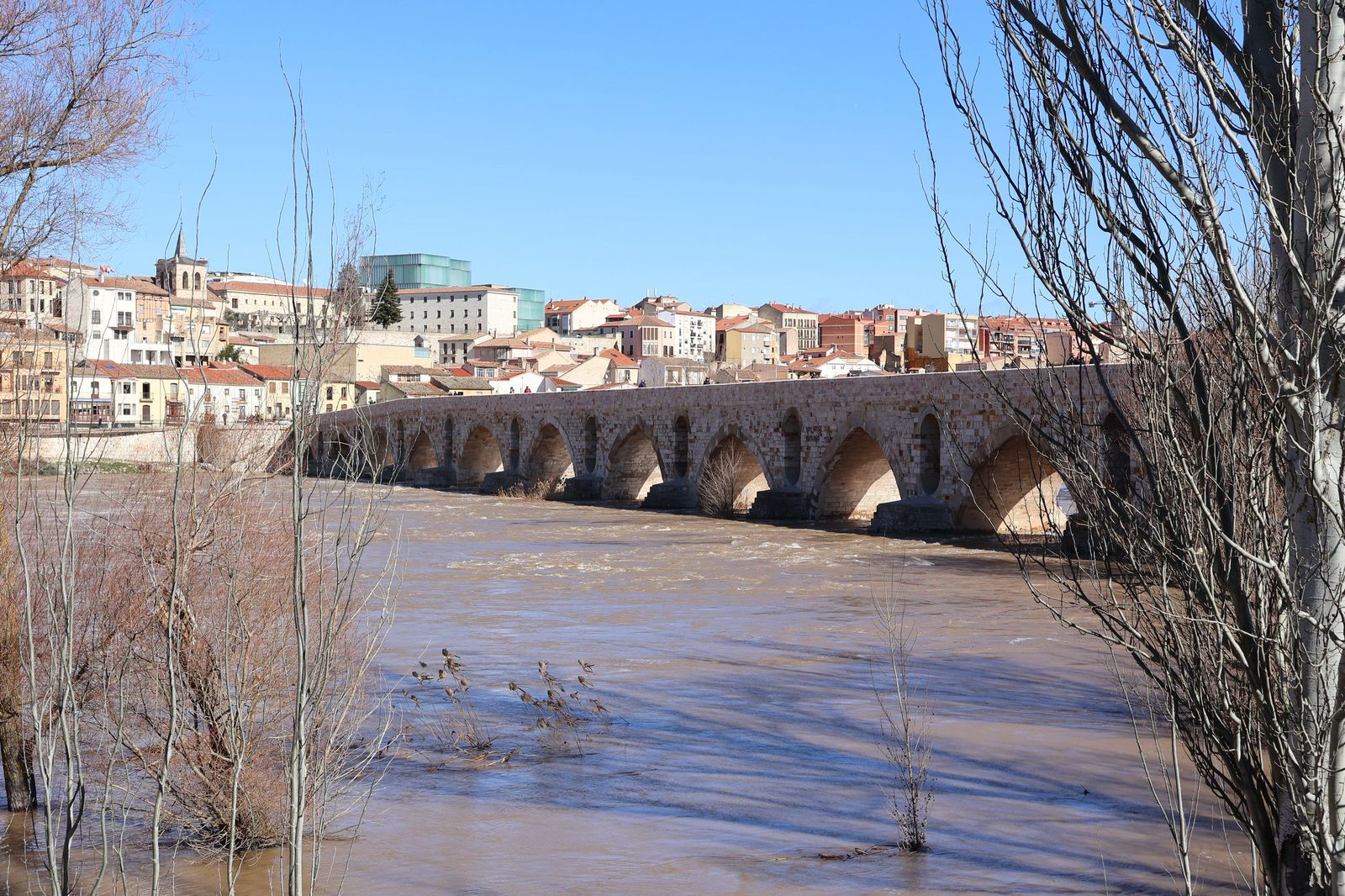 GALERÍA | El Duero muestra su fuerza con una importante crecida tras las lluvias