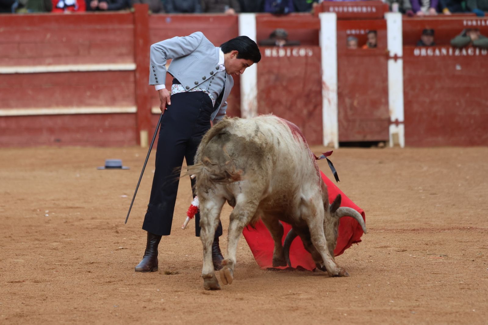 Novillada sin picadores del bolsín taurino y rejones en Ciudad Rodrigo