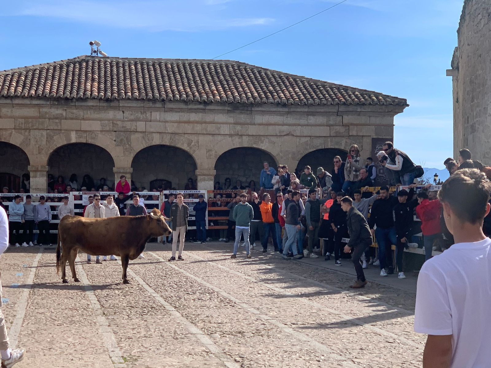 ambiente-con-la-suelta-de-vaquillas-en-el-domingo-de-pinata-en-ciudad-rodrigo-7