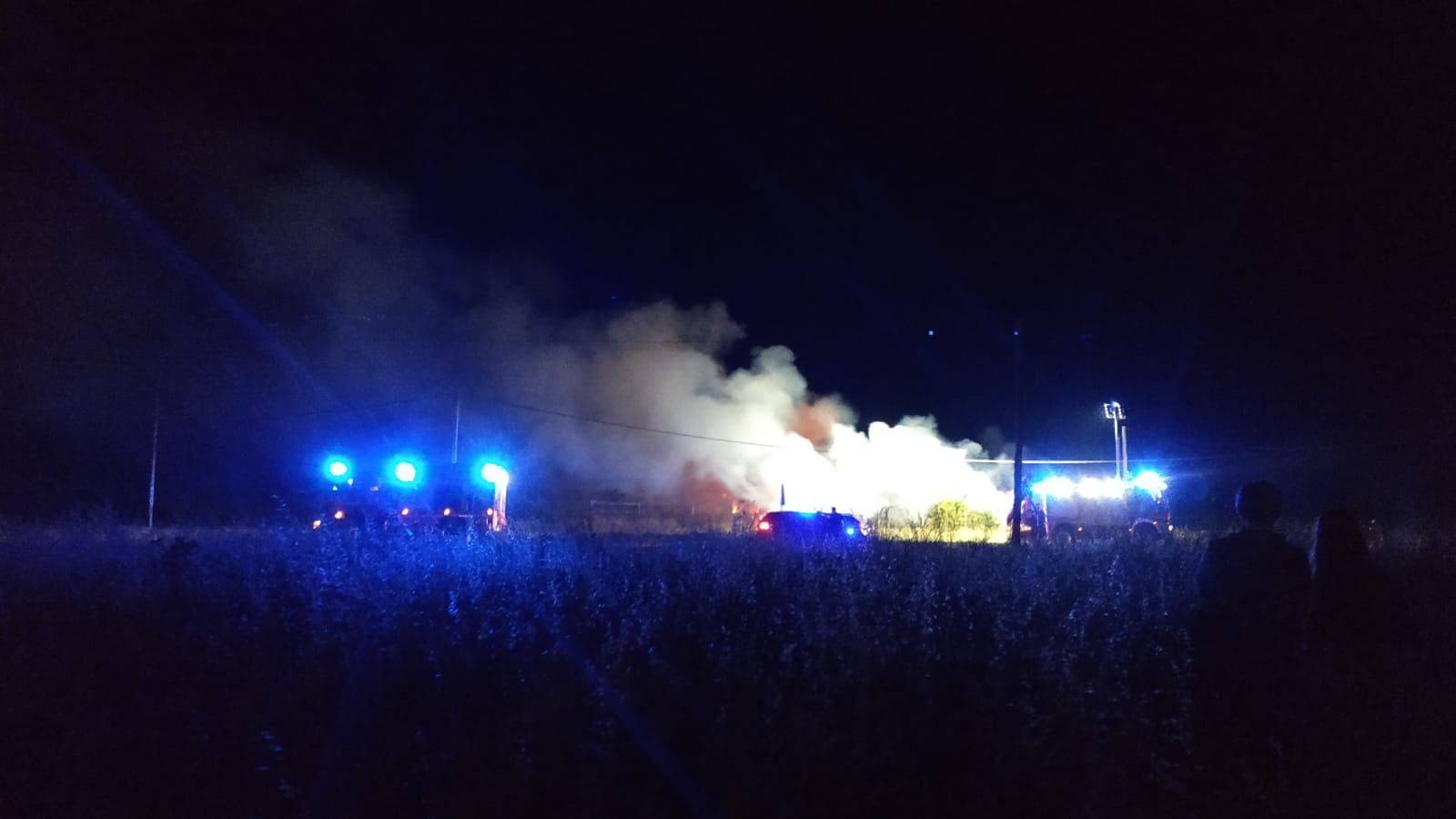 whatsapp-image-2021-07-31-at-00-33-49