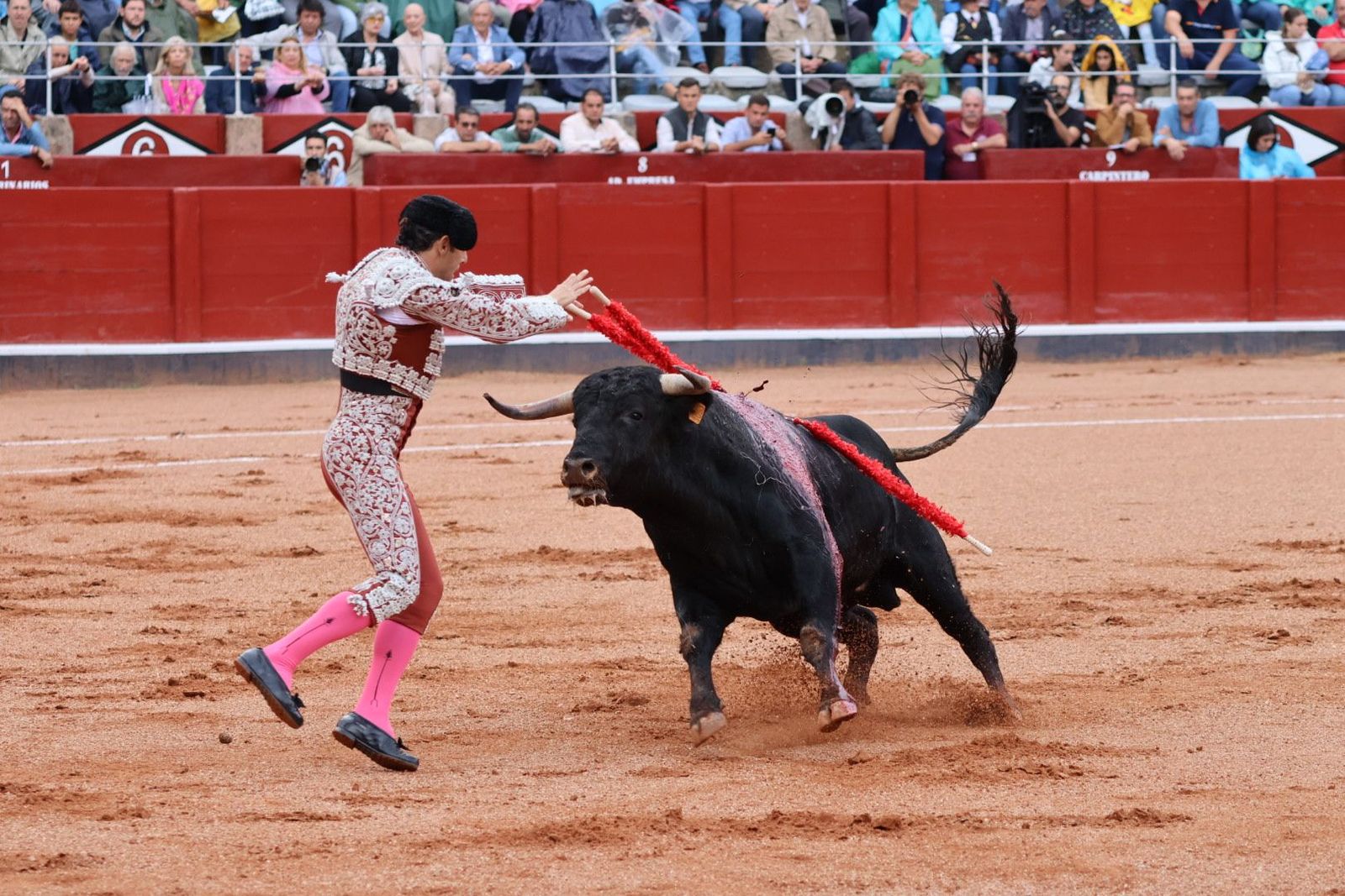 20230915171546-img-3850