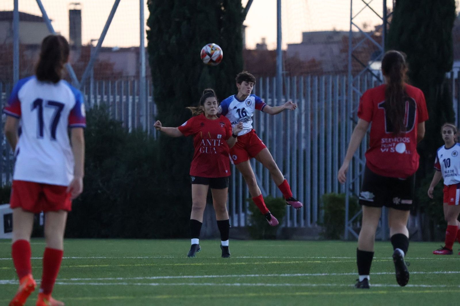 20231125180457-img-3124