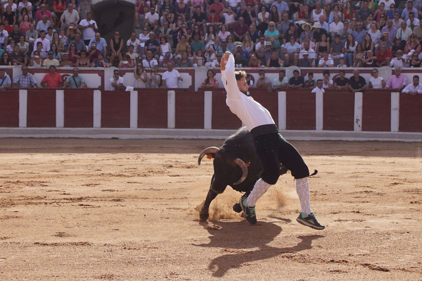 whatsapp-image-2023-07-02-at-22-40-24-1