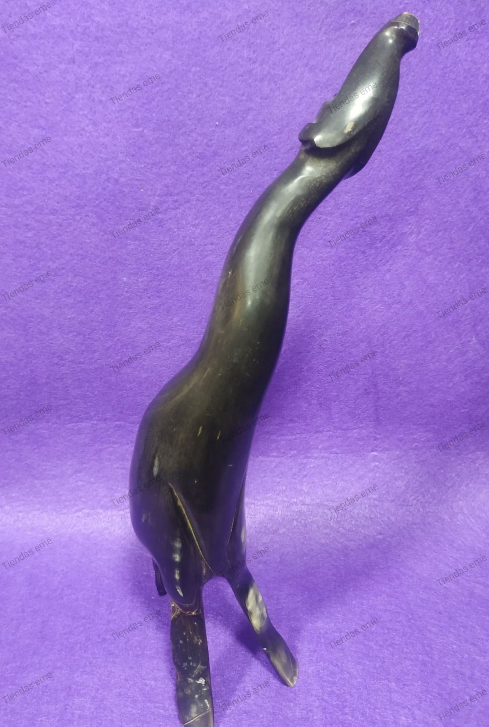 whatsapp-image-2024-03-16-at-12-36-16-1