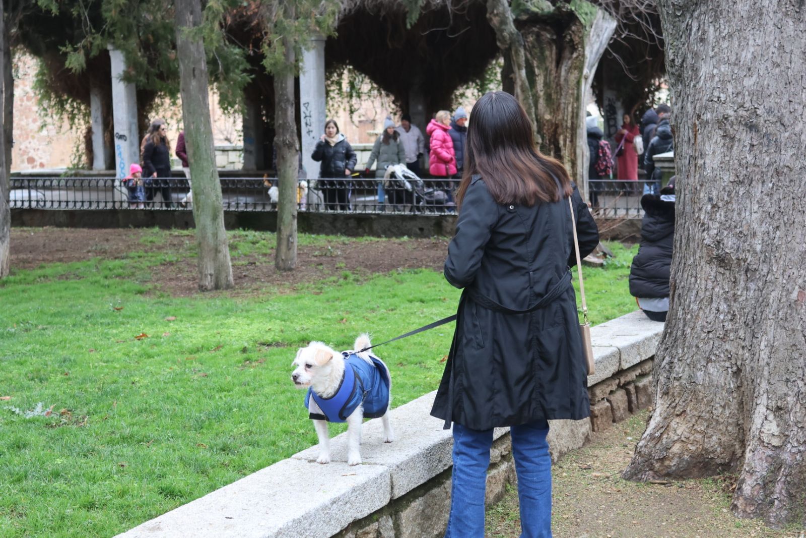 Bendición de los animales por San Antón en el Campo de San Francisco