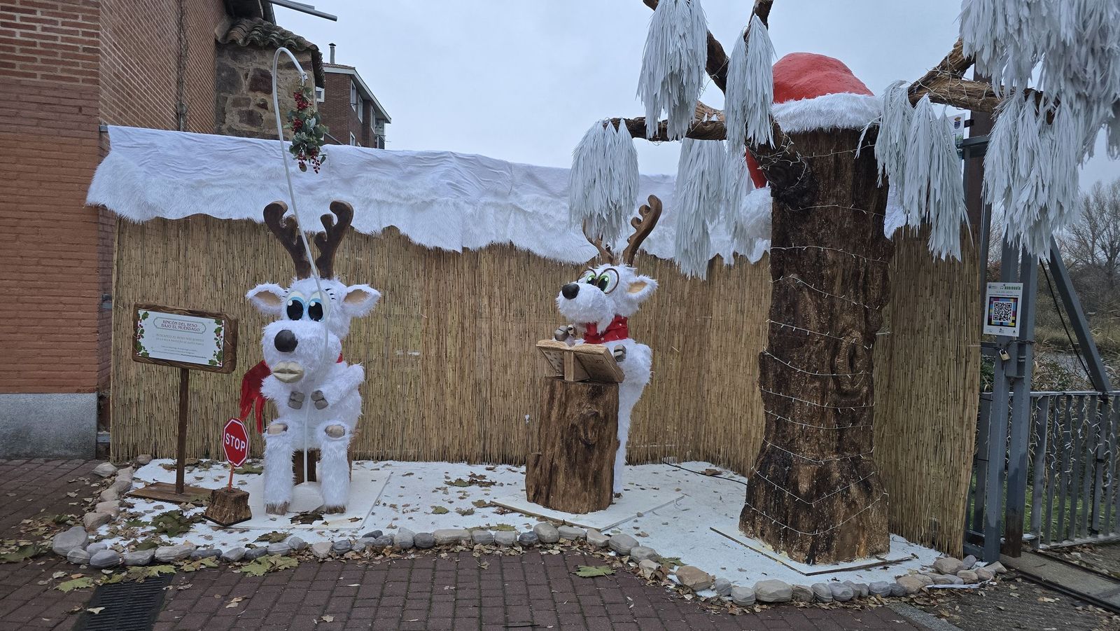 Inauguración de la Navidad en Santa Marta