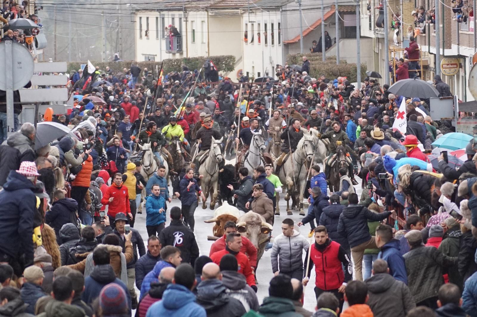 whatsapp-image-2024-02-11-at-11-48-50