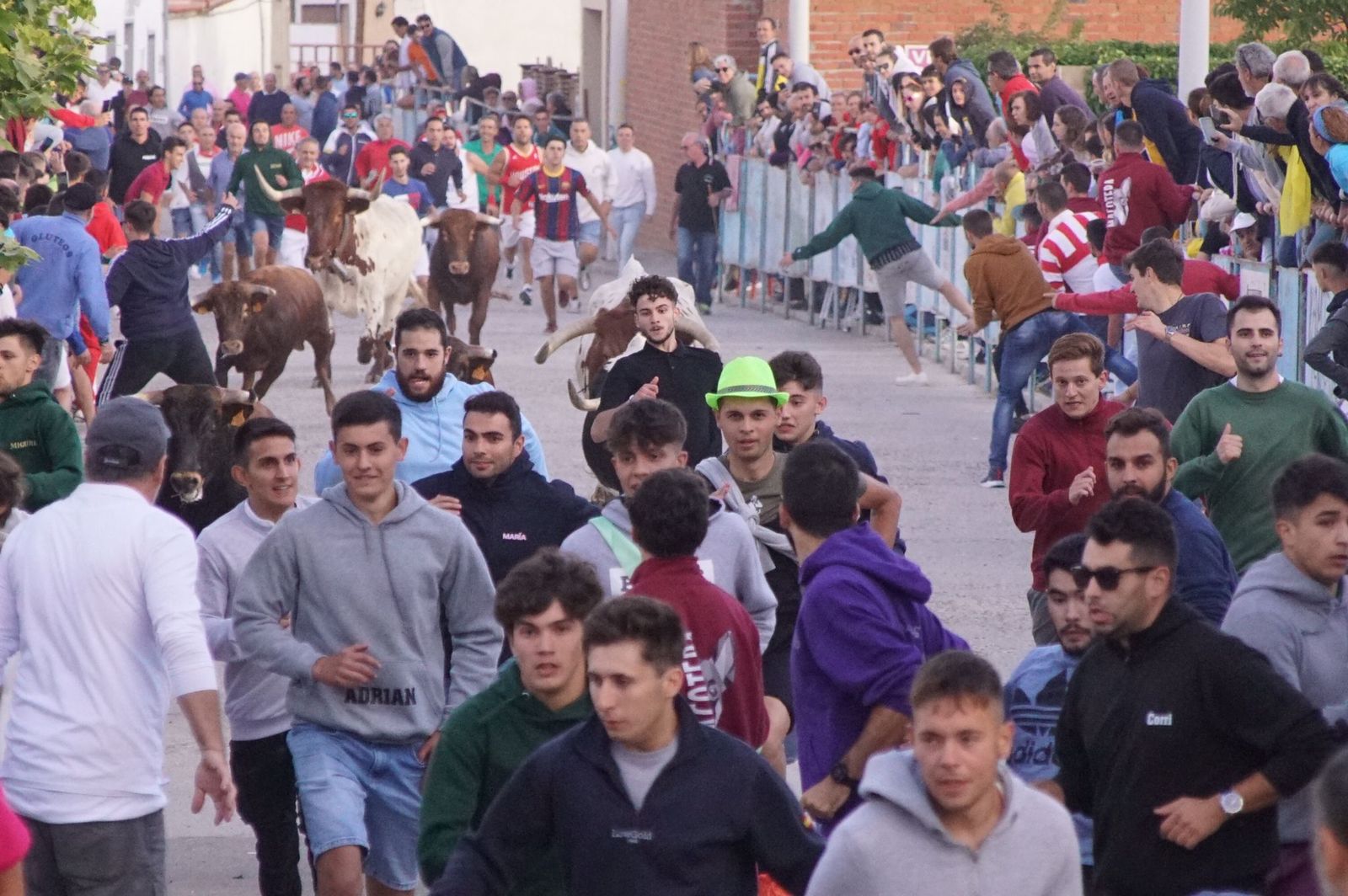 1cbc28ba-5960-4527-a9fd-b316f7522416