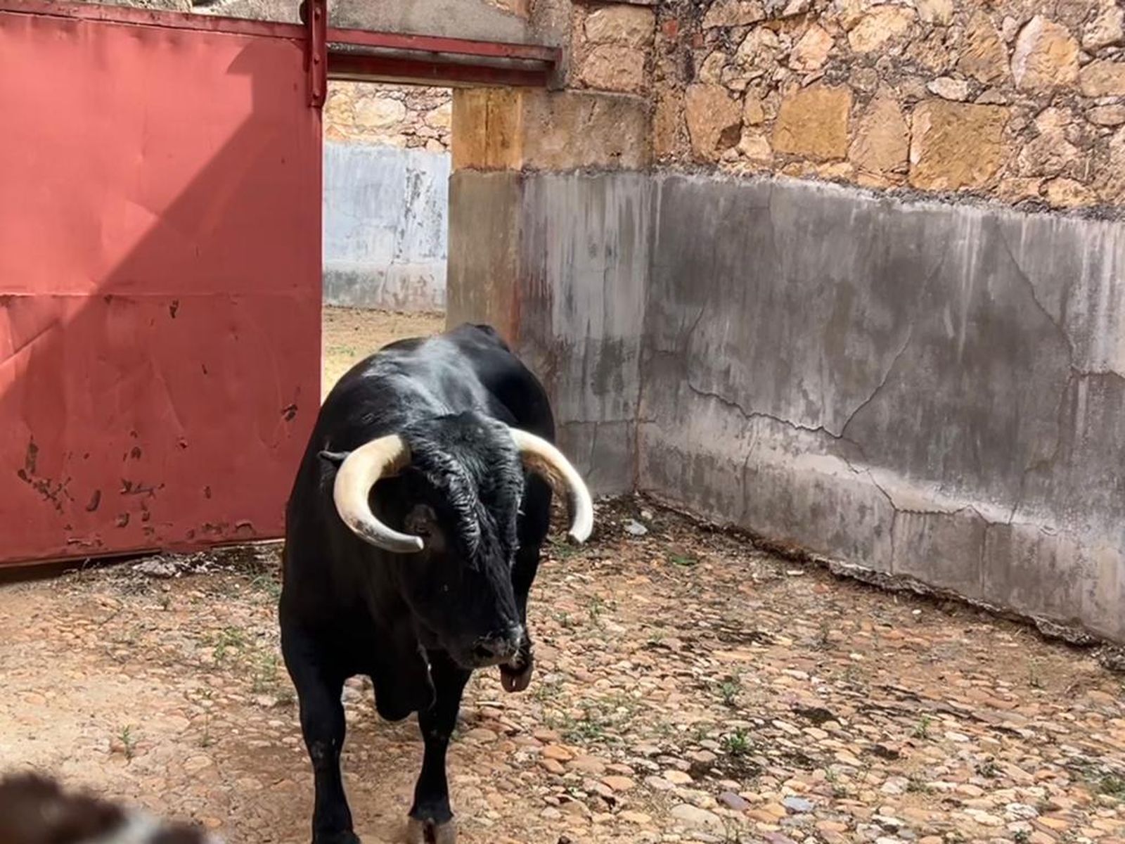 whatsapp-image-2023-09-09-at-12-26-29