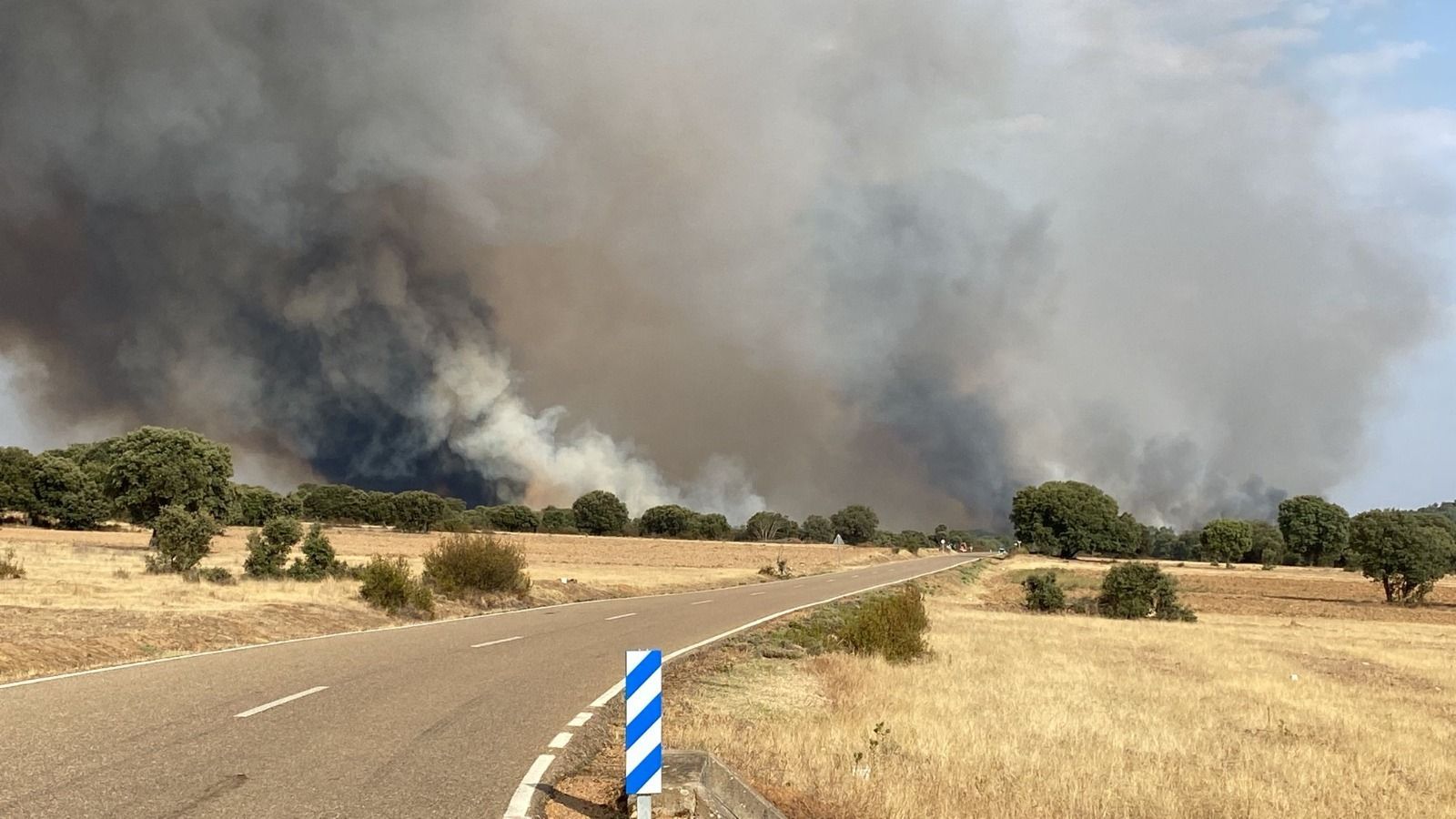 Incendio en Losacio. FOTO: Bea Antón