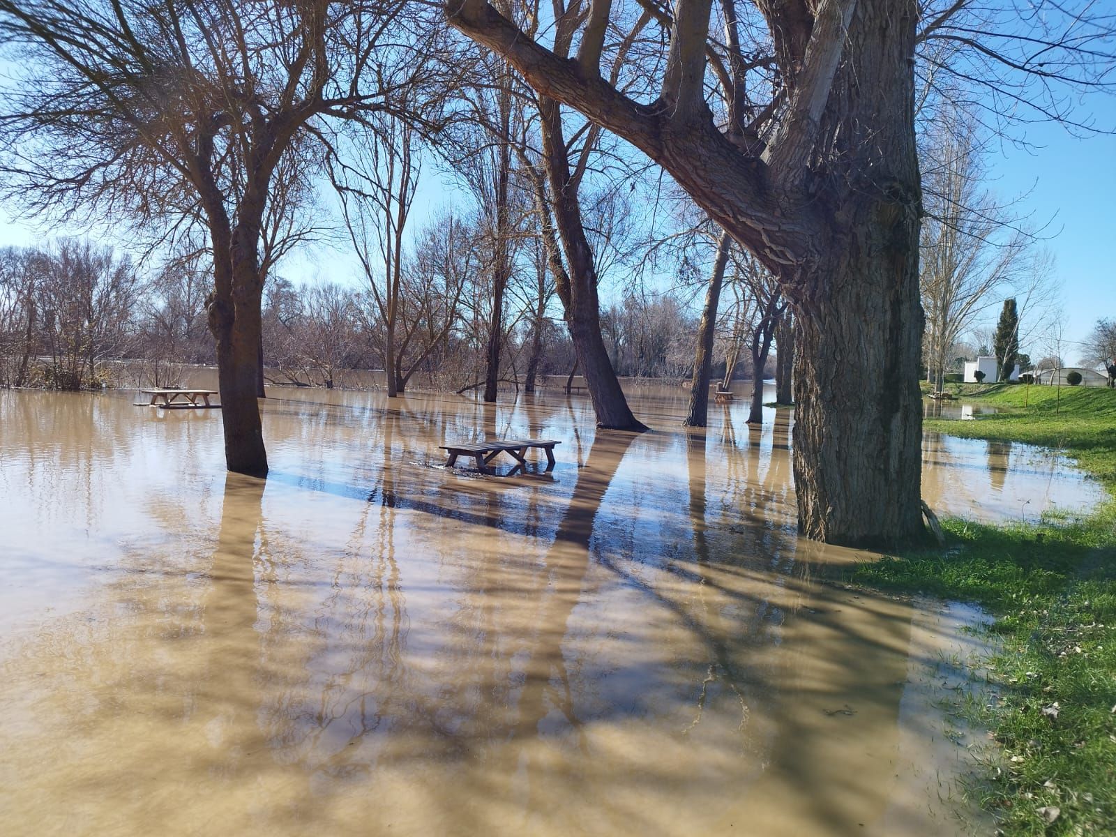 whatsapp-image-2024-01-20-at-13-23-14-1