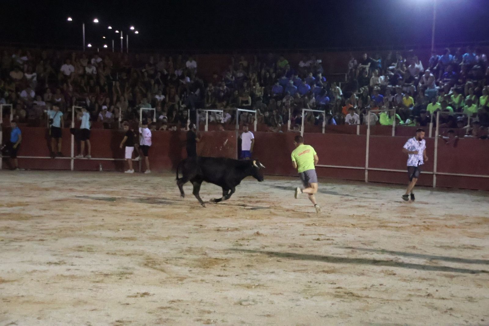 20230812214506-img-1317