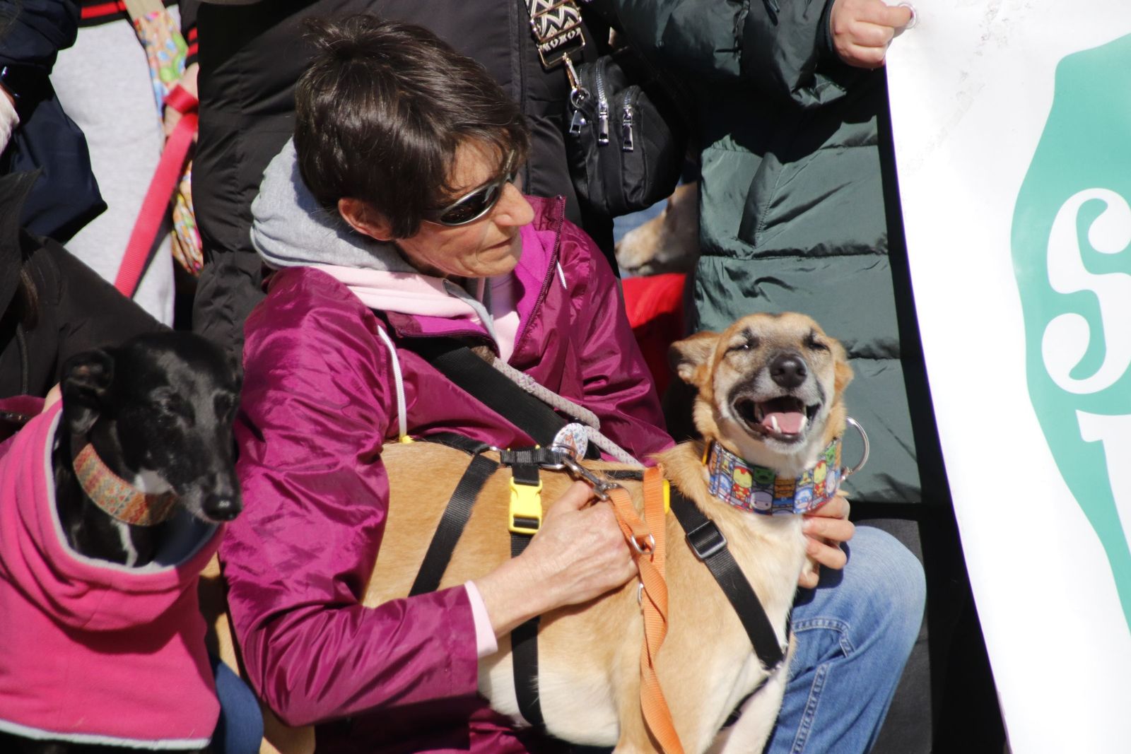 20230205121854-mg-5730