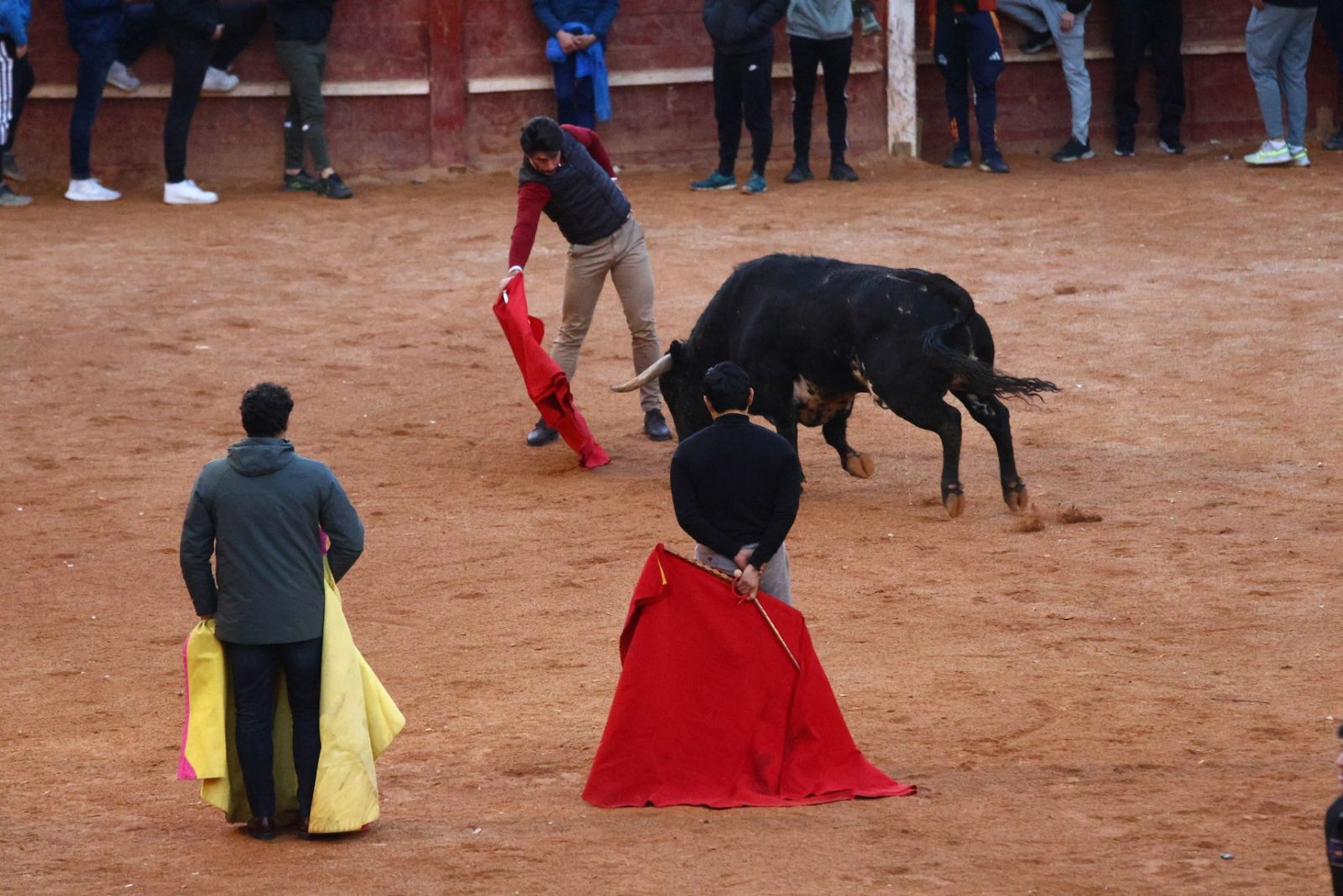 Capea de martes por la tarde en el Carnaval del Toro 2026