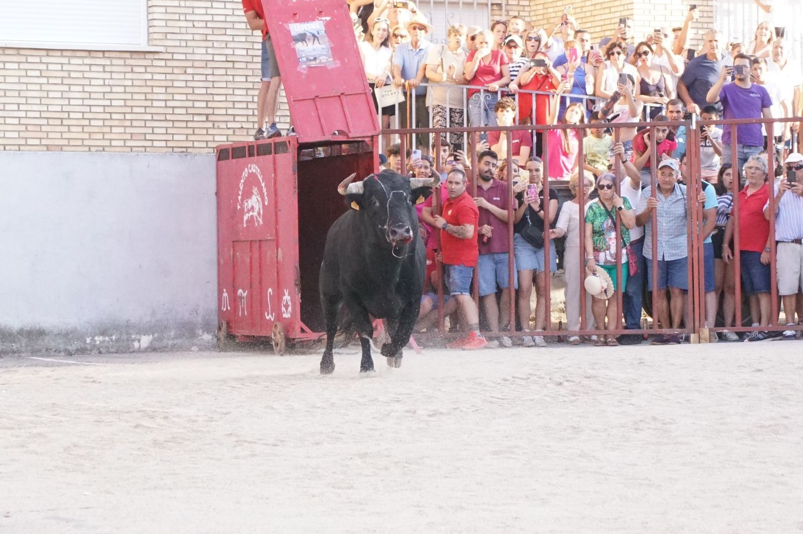 Ledesma disfruta de su primer Toro de Cajón y suelta de vaquilla