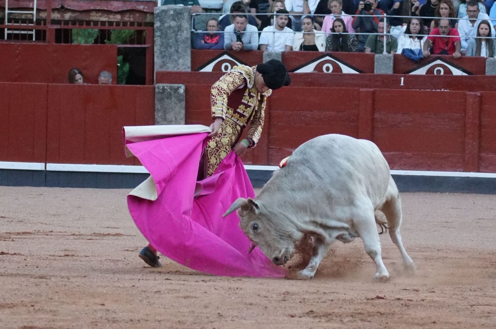 Clase práctica con alumnos de la Escuela de Tauromaquia de Salamanca (Diego Mateos, Noel García y Álvaro Rojo con erales de Esteban Isidro)