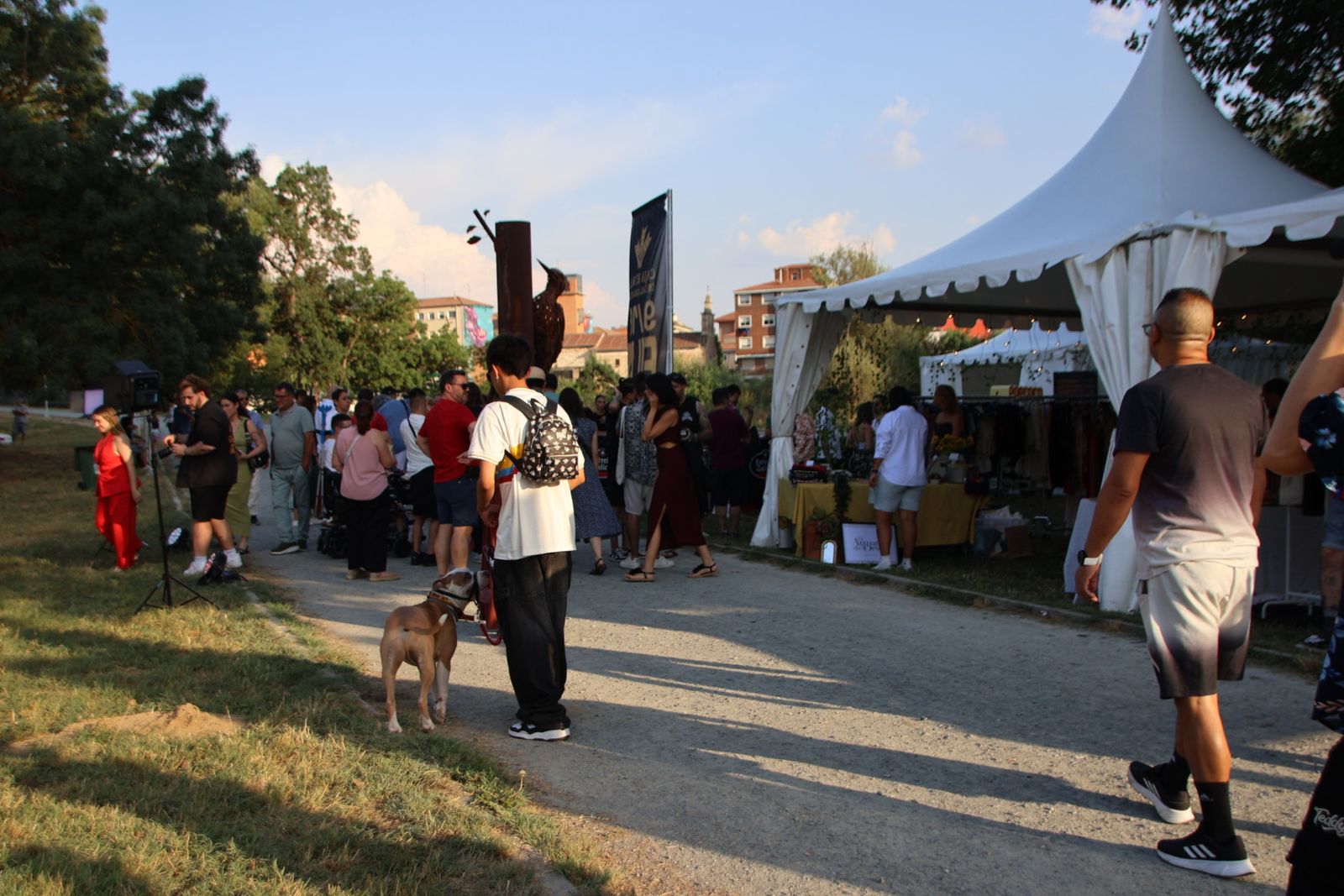 Festival cine en la Isla del Soto